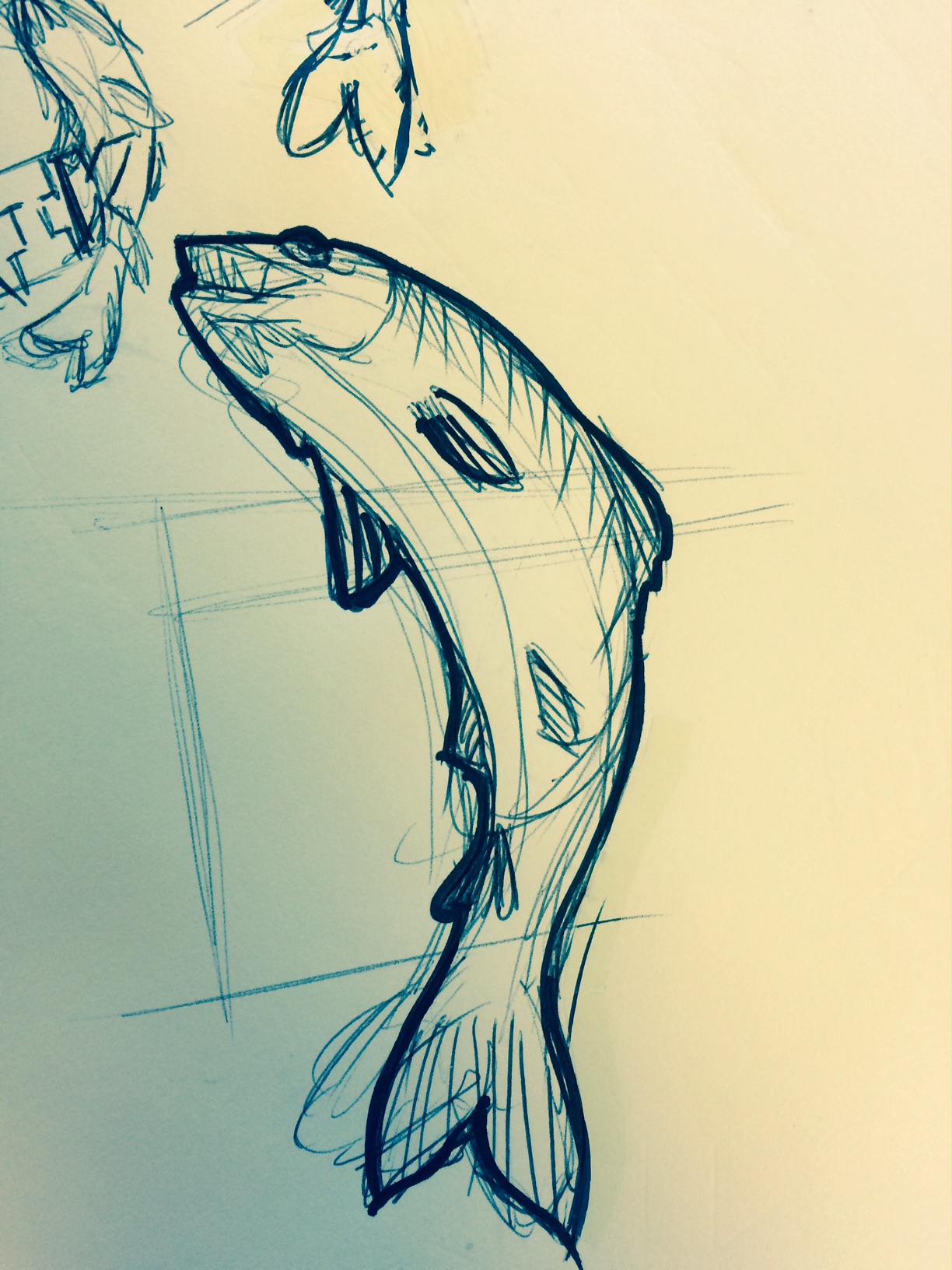 To be completely honest