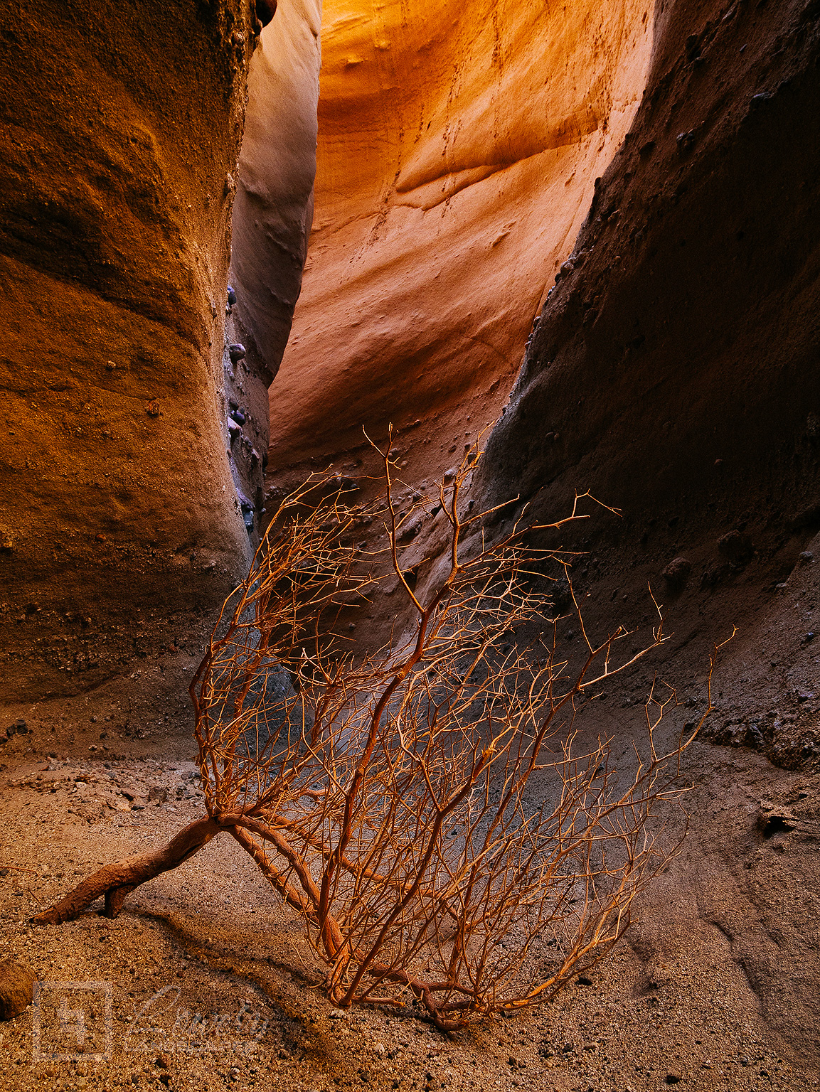 Ancient Halls