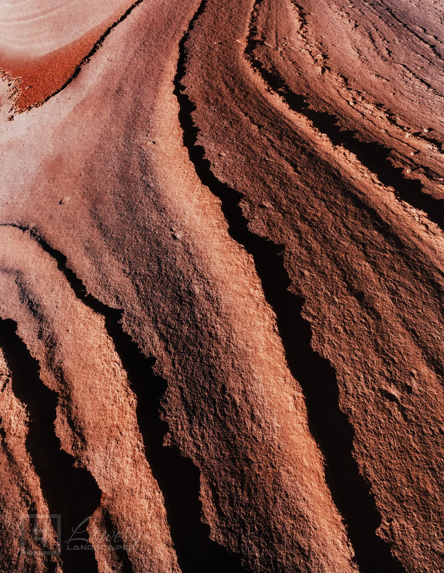 Skin of the Earth