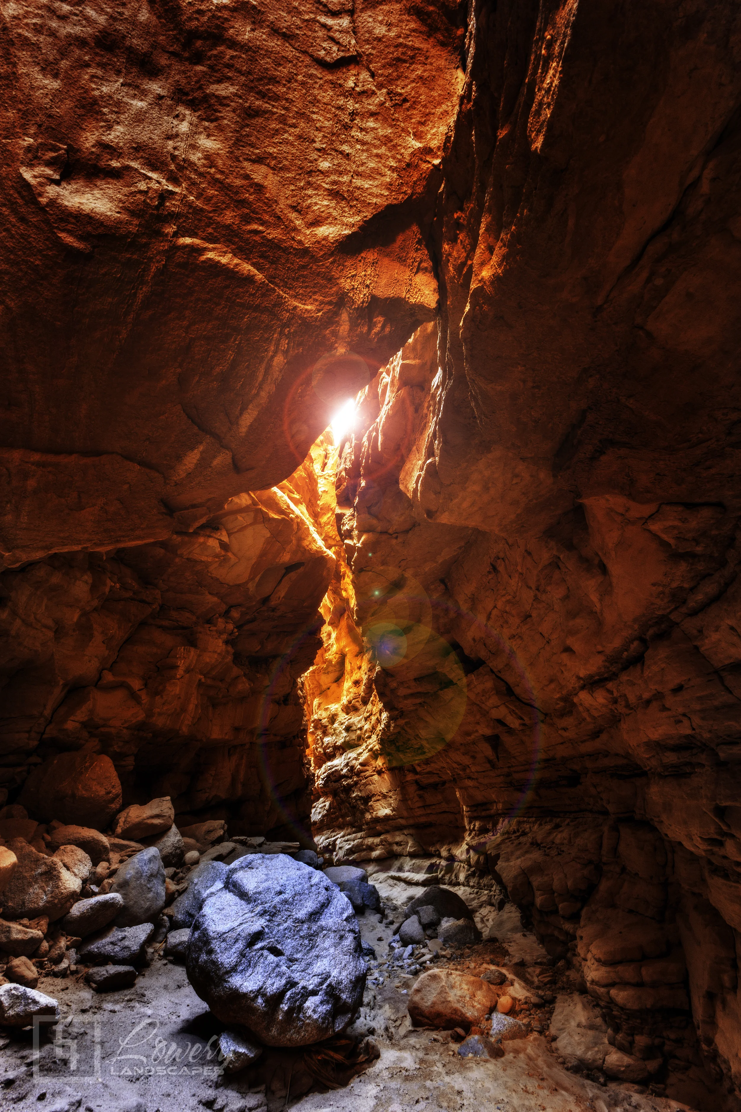 Into the Light