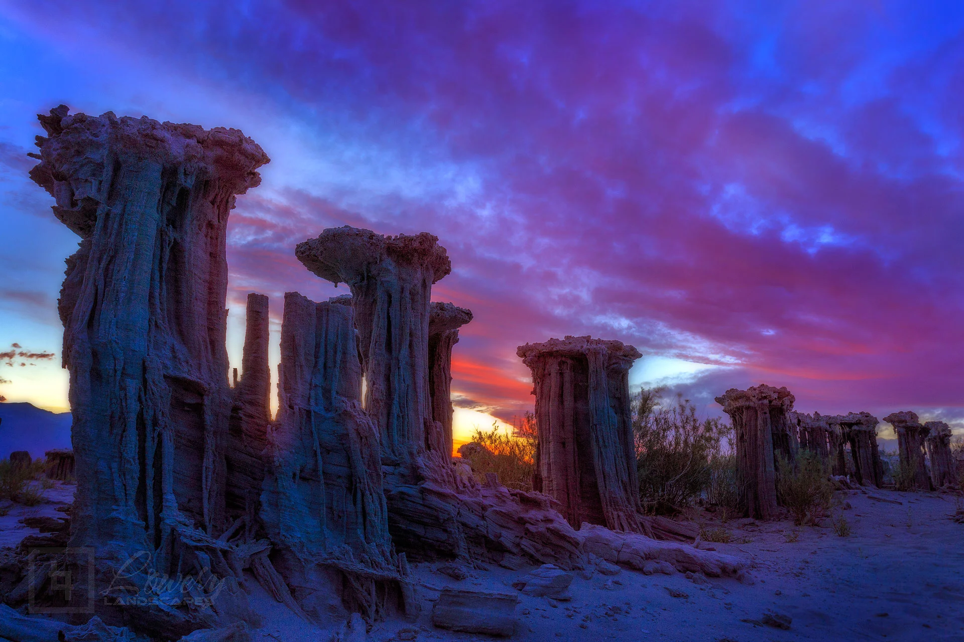 Night-Falls-on-the-Sand-Creatures.jpg