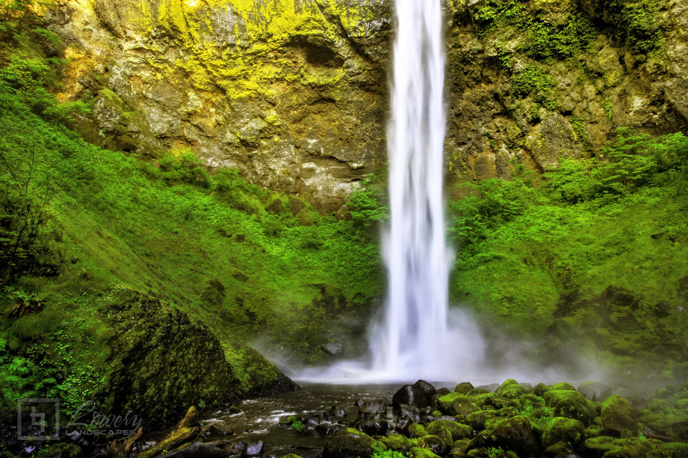 _MG_4202-Edit2.jpg