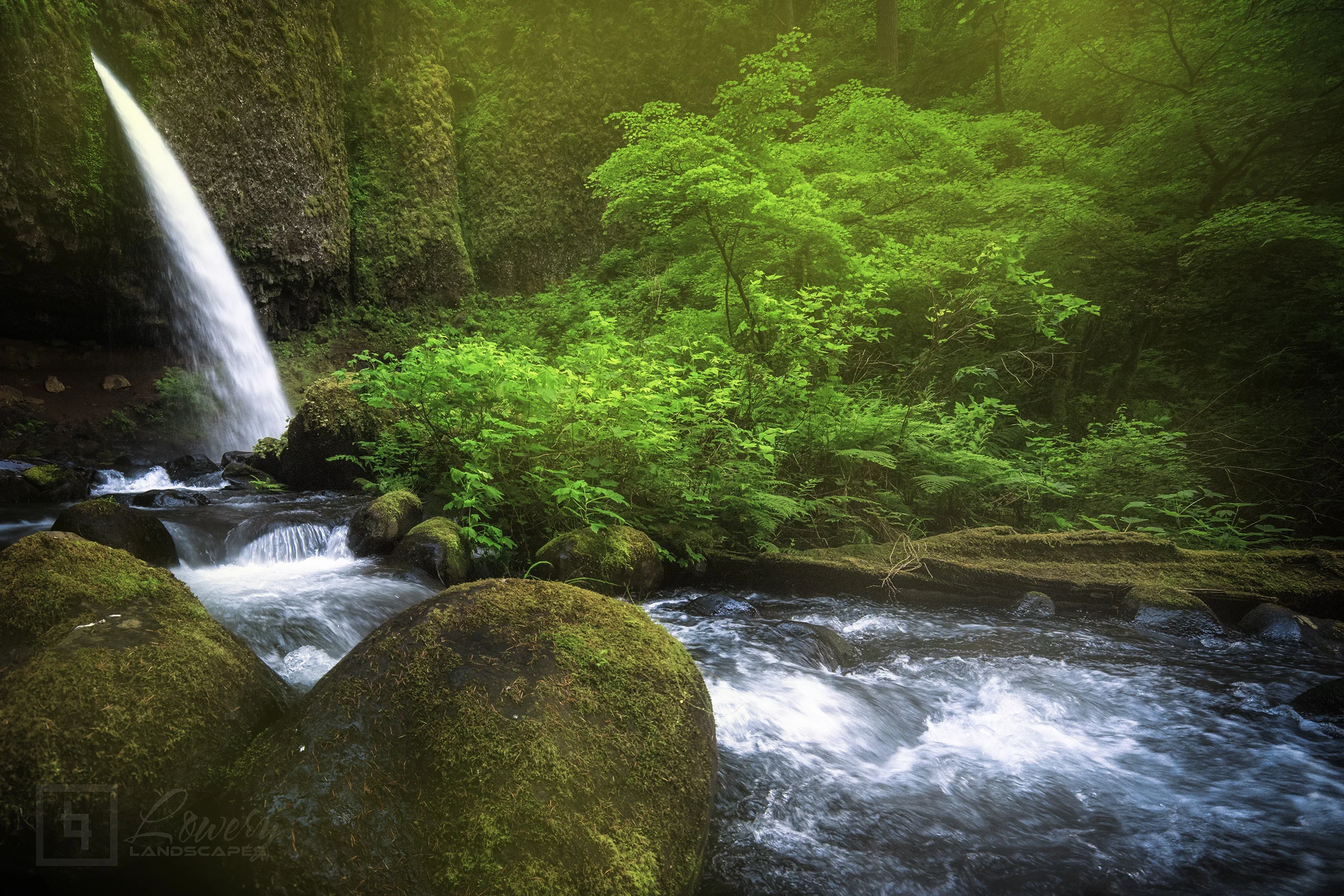 _MG_4727-Edit-glow-websharp.jpg