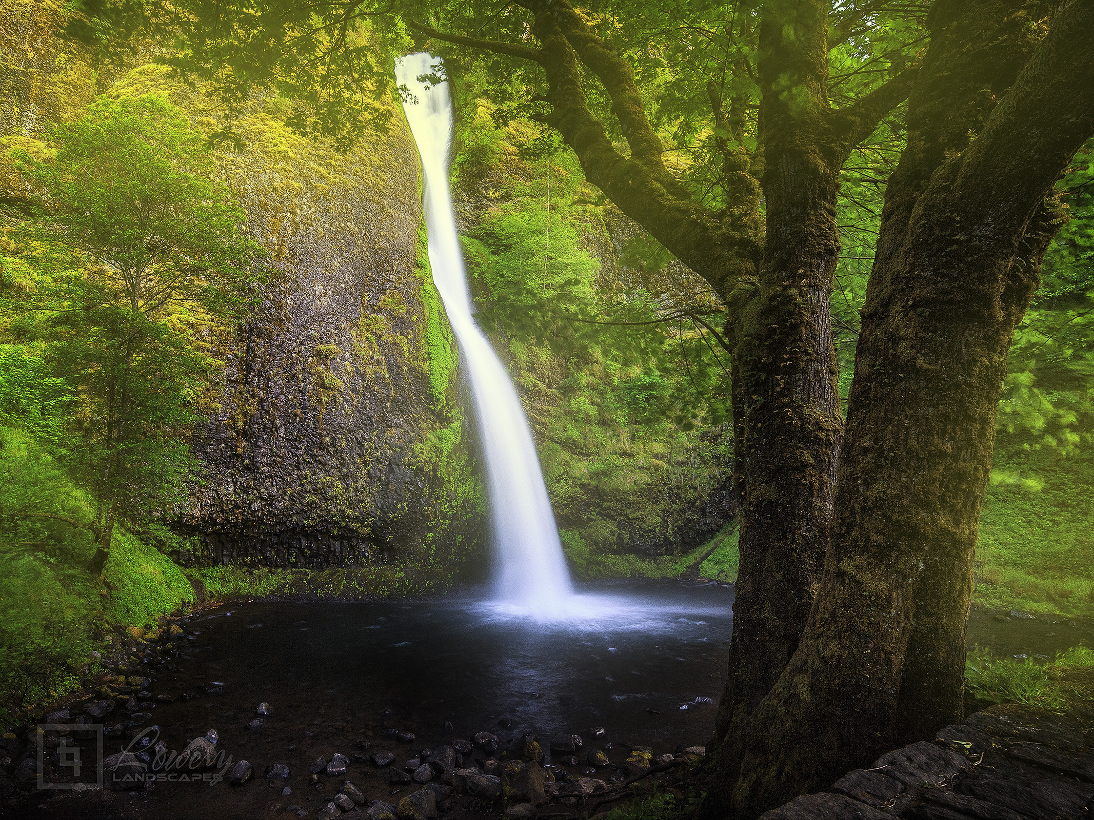 _MG_4729-glow-websharp.jpg