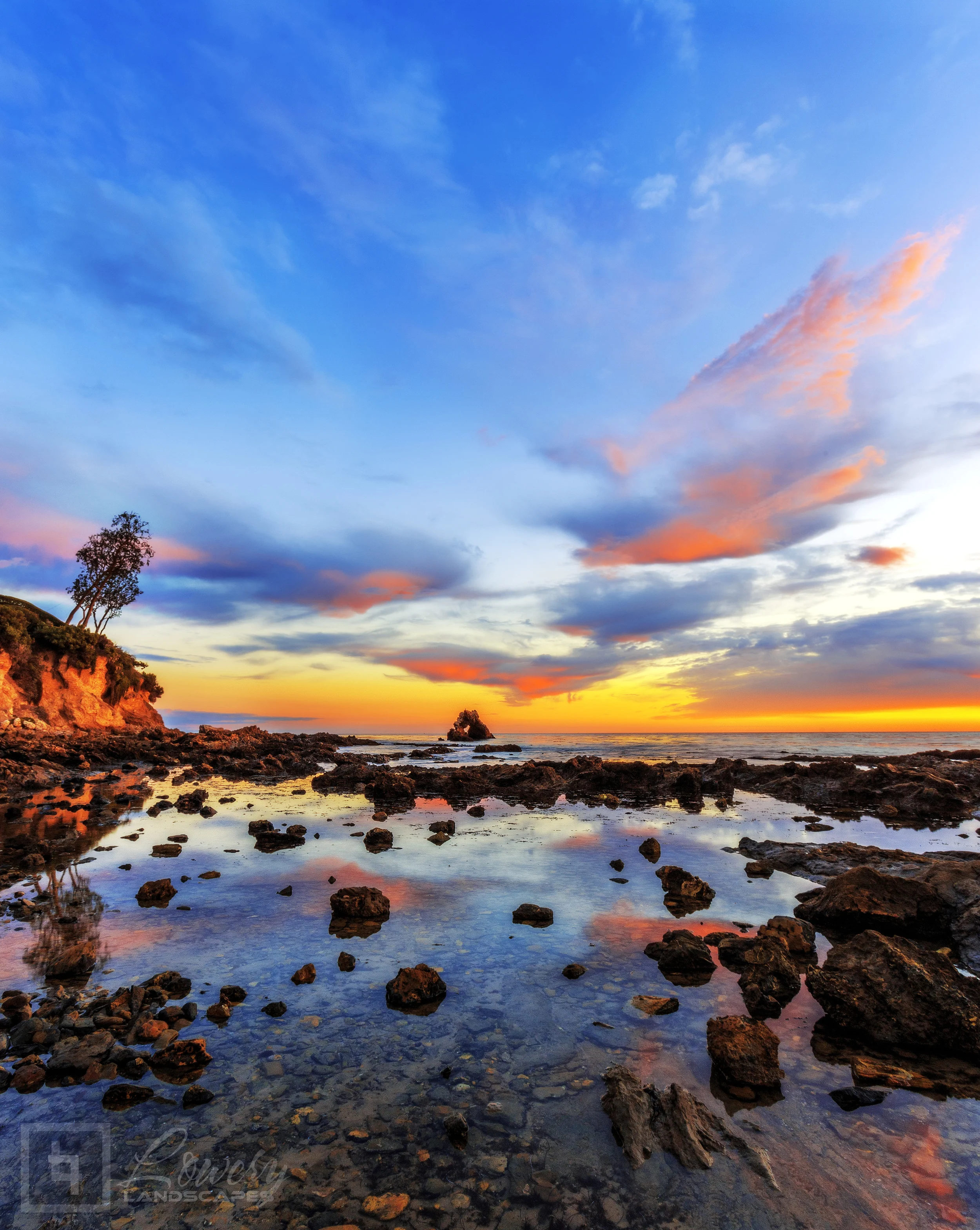 Intertidal.jpg