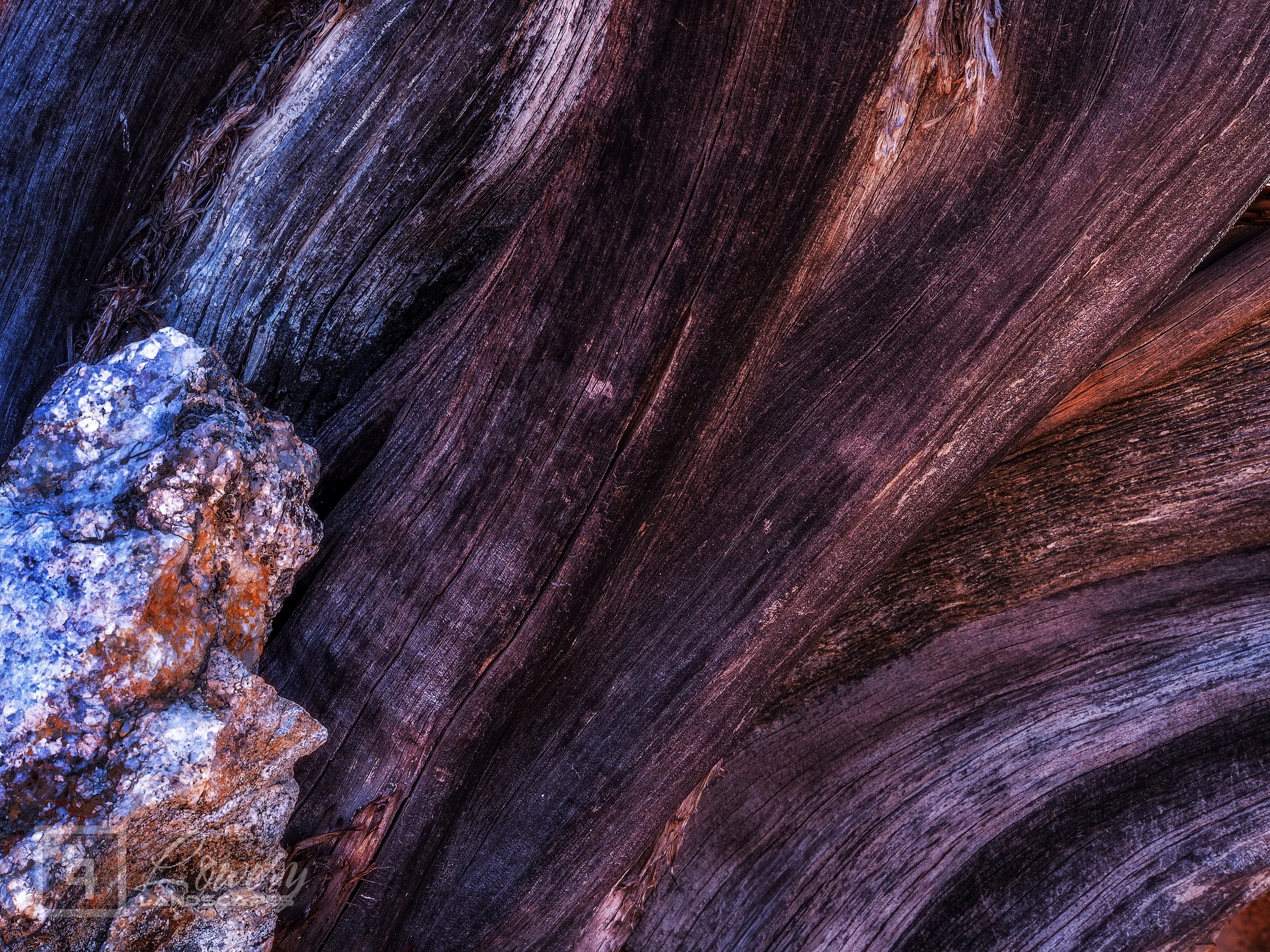 _4120090-color.jpg