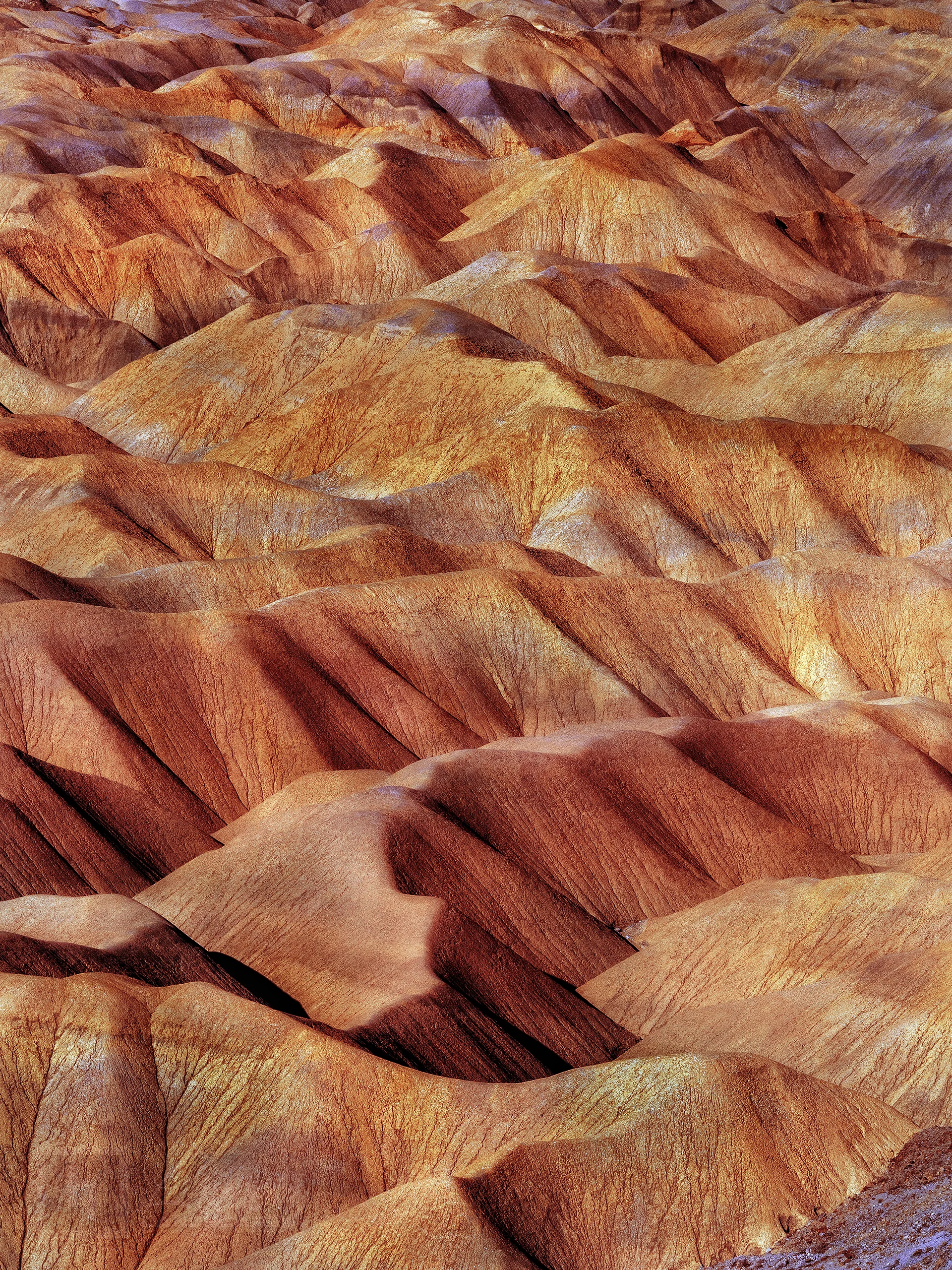 The Beautiful Badlands