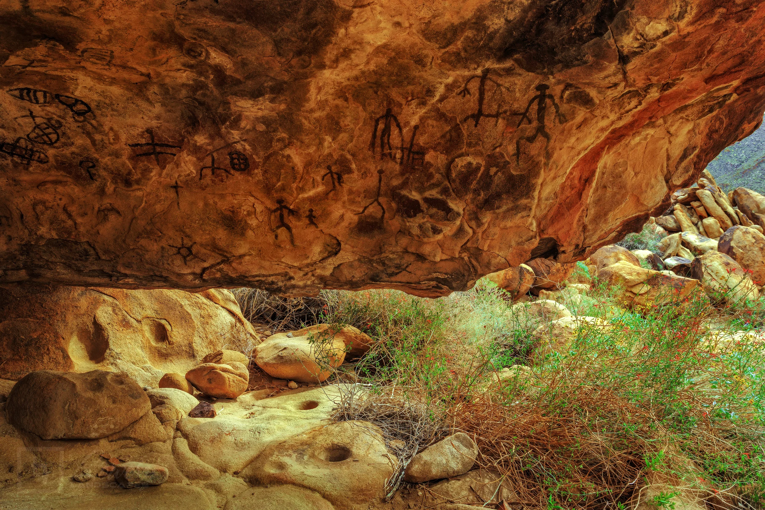 Home-of-the-Ancients.jpg