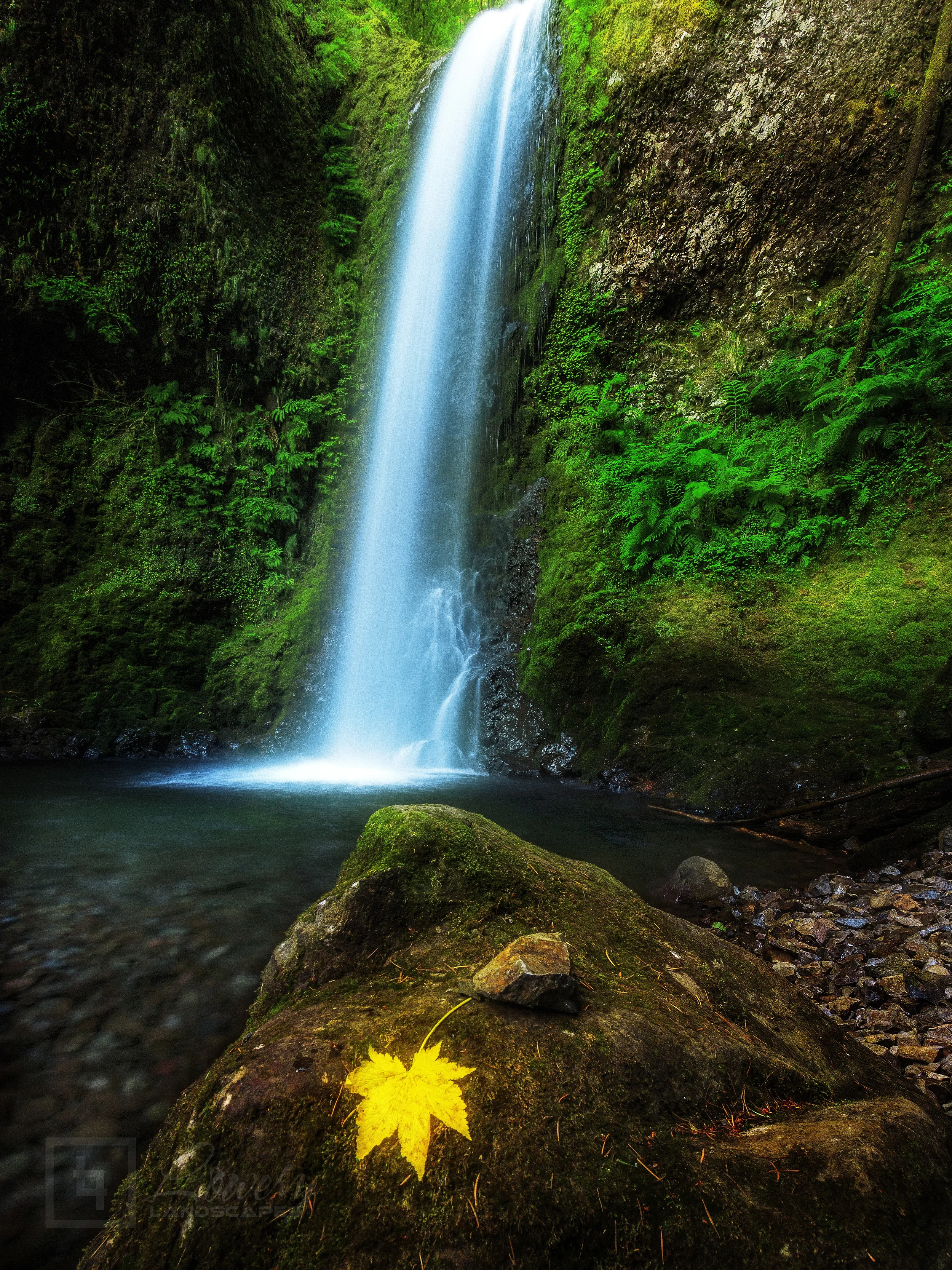 _MG_4781-Edit-web.jpg