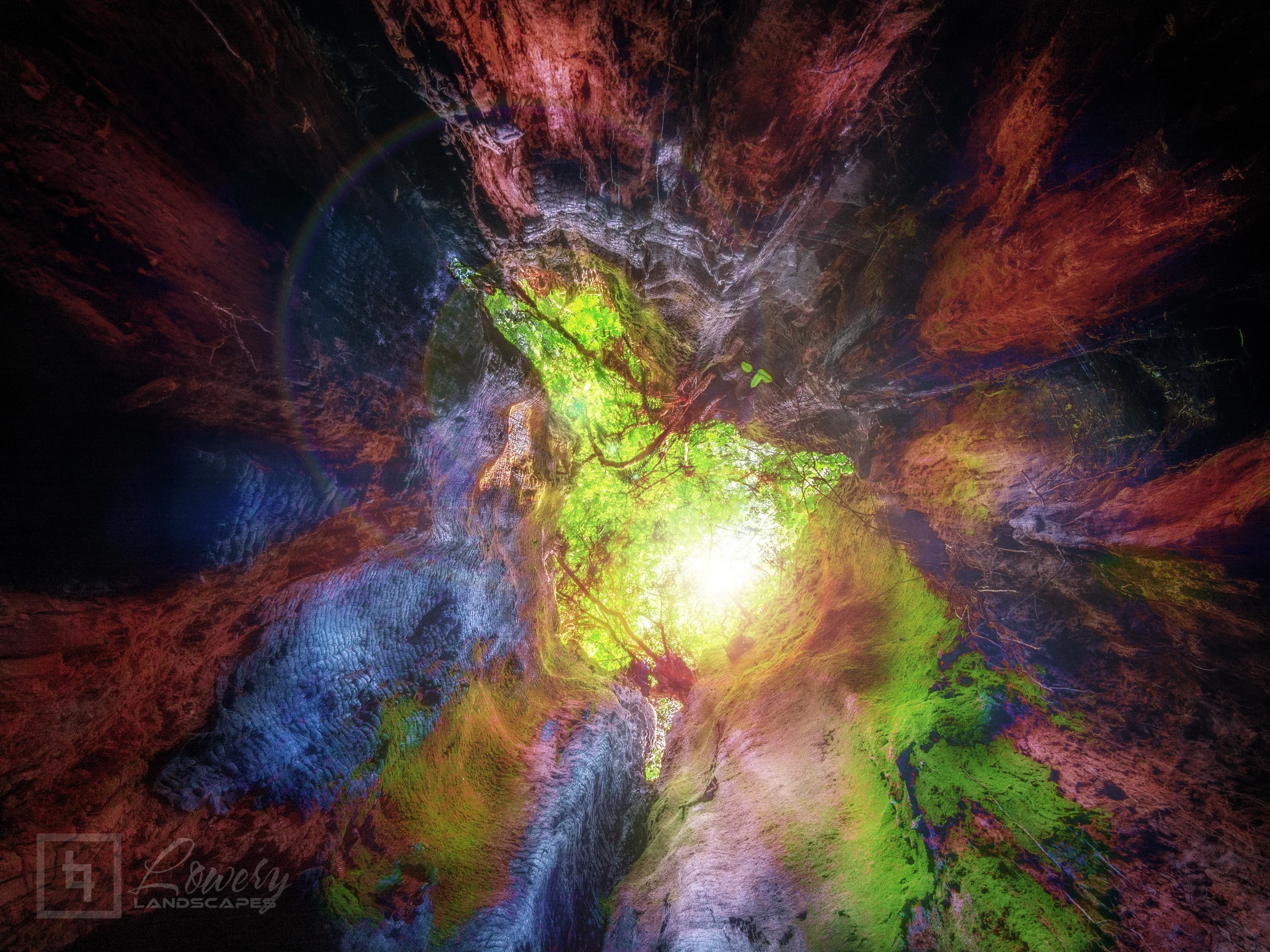 "Tree of Souls"