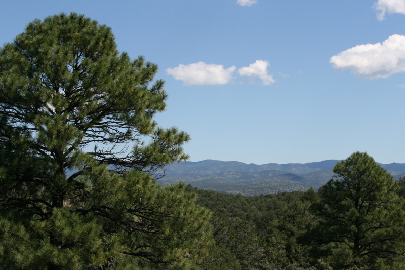  View from patio. 