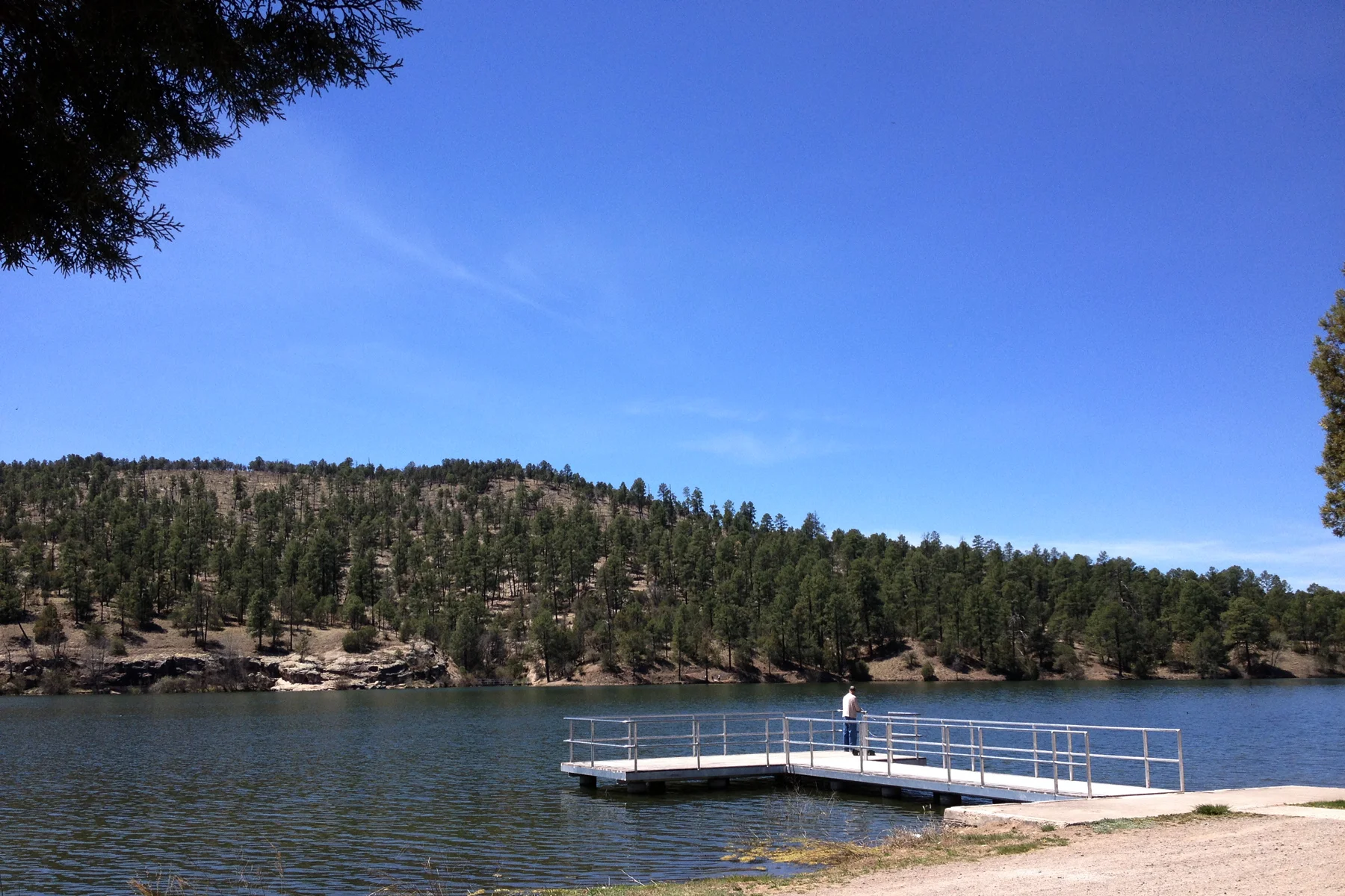 Fishing at Lake Roberts (guest submission)