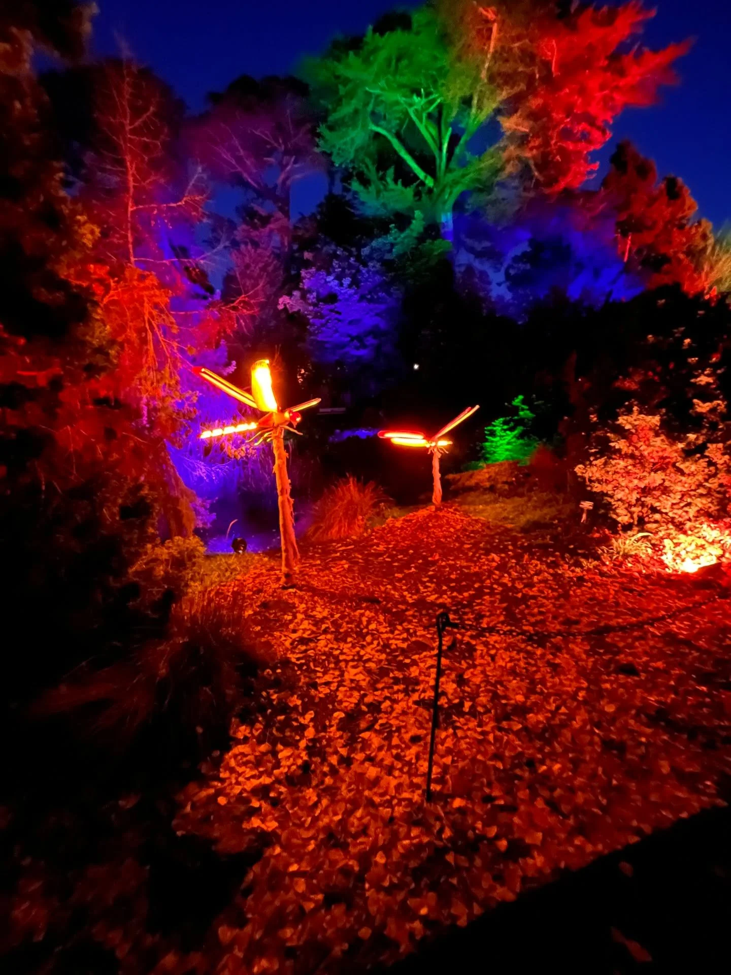 In this new year (which starts in a few days), I want to keep calling in queer professionals who are political, cuz if we are queer, how are we not political? And I mean the expansive form of queer, which includes accomplices who want to organize tog