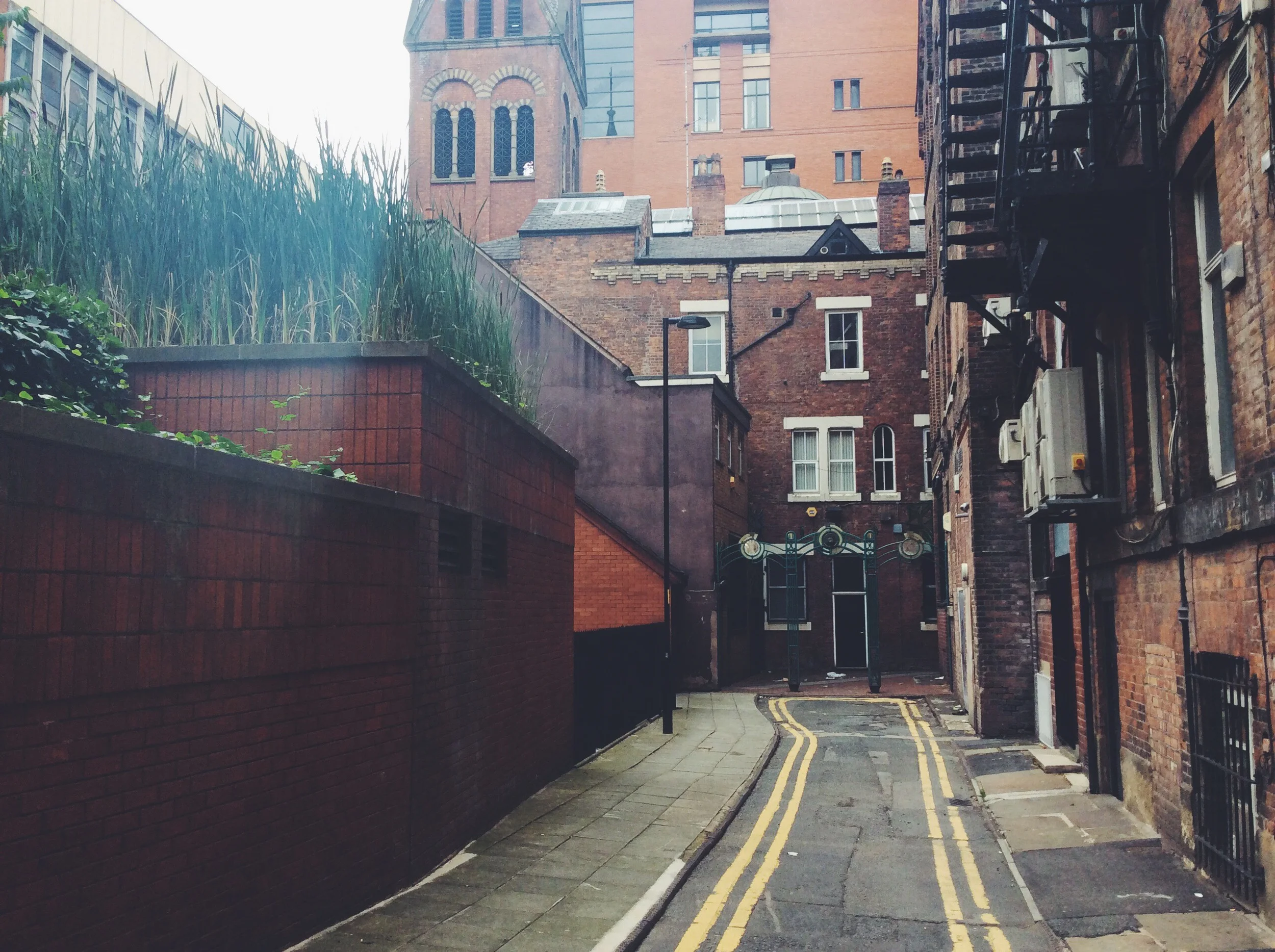 Tasle Alley and the rooftop reeds (upper left)