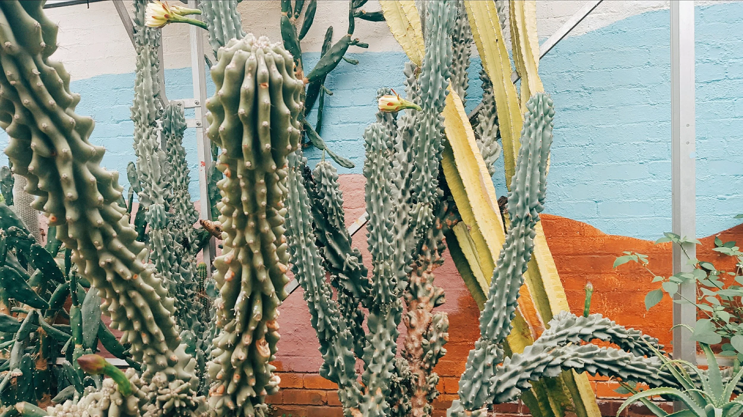 IMG_20160927_114545 (1).jpg