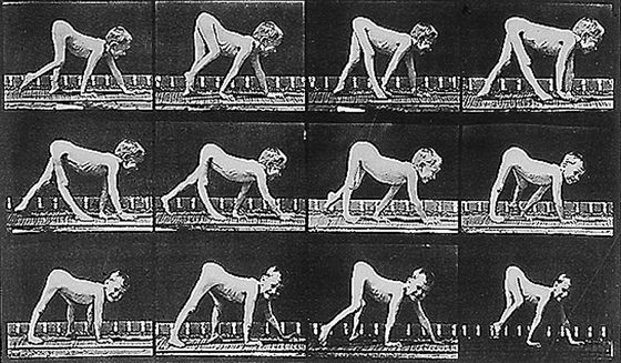 muybridge paralysis.jpeg