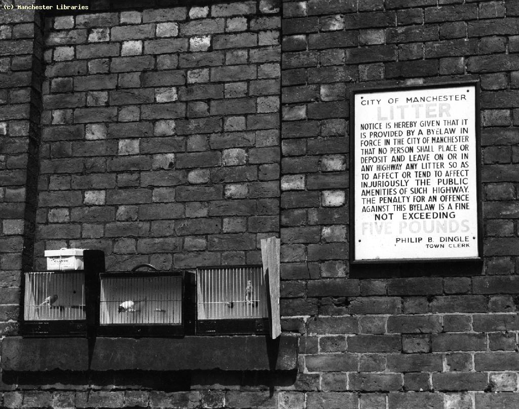 Image c/o Manchester Libraries , Tib Street, 1959