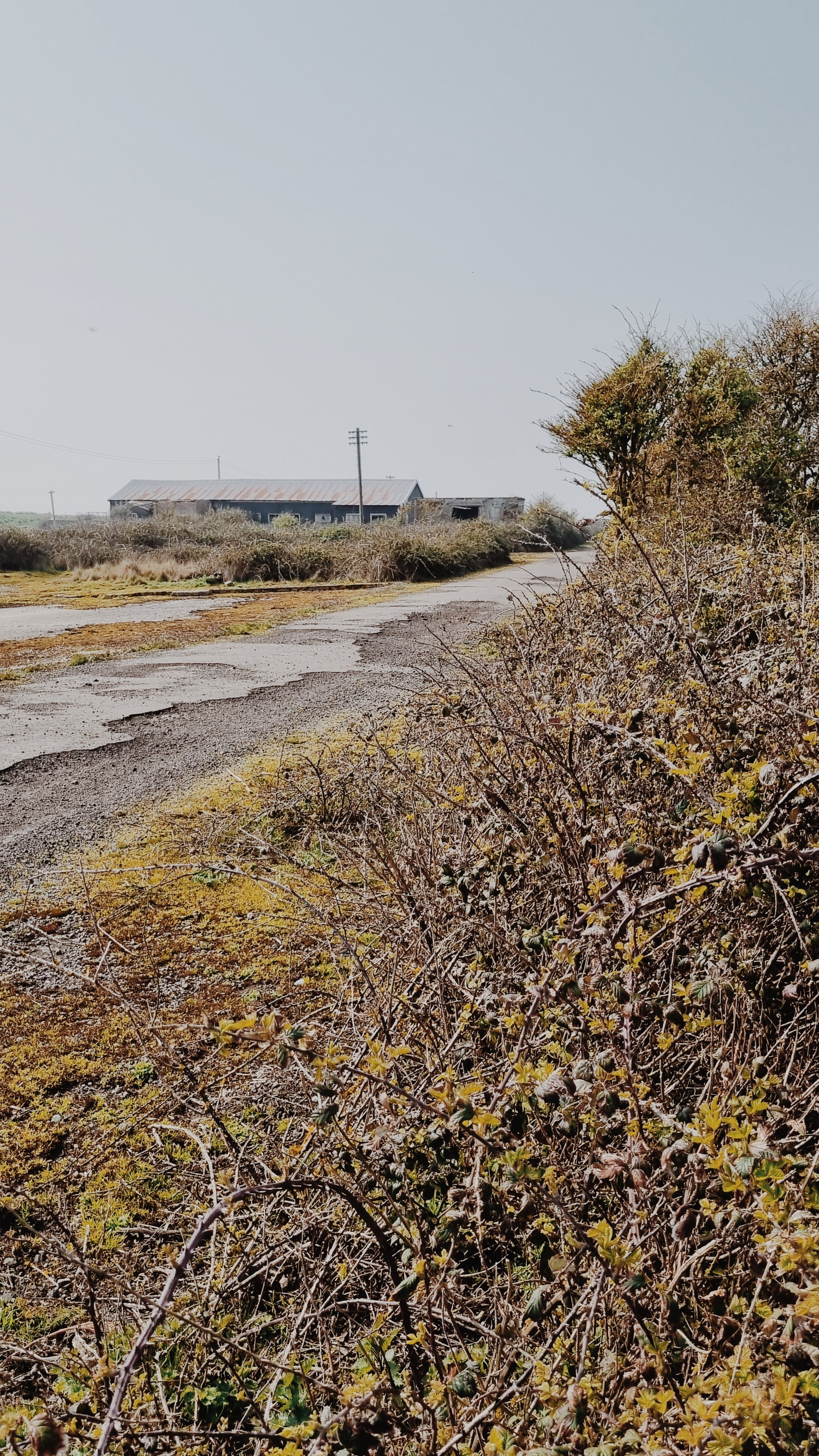 Photo Apr 09 2023 (8).jpg