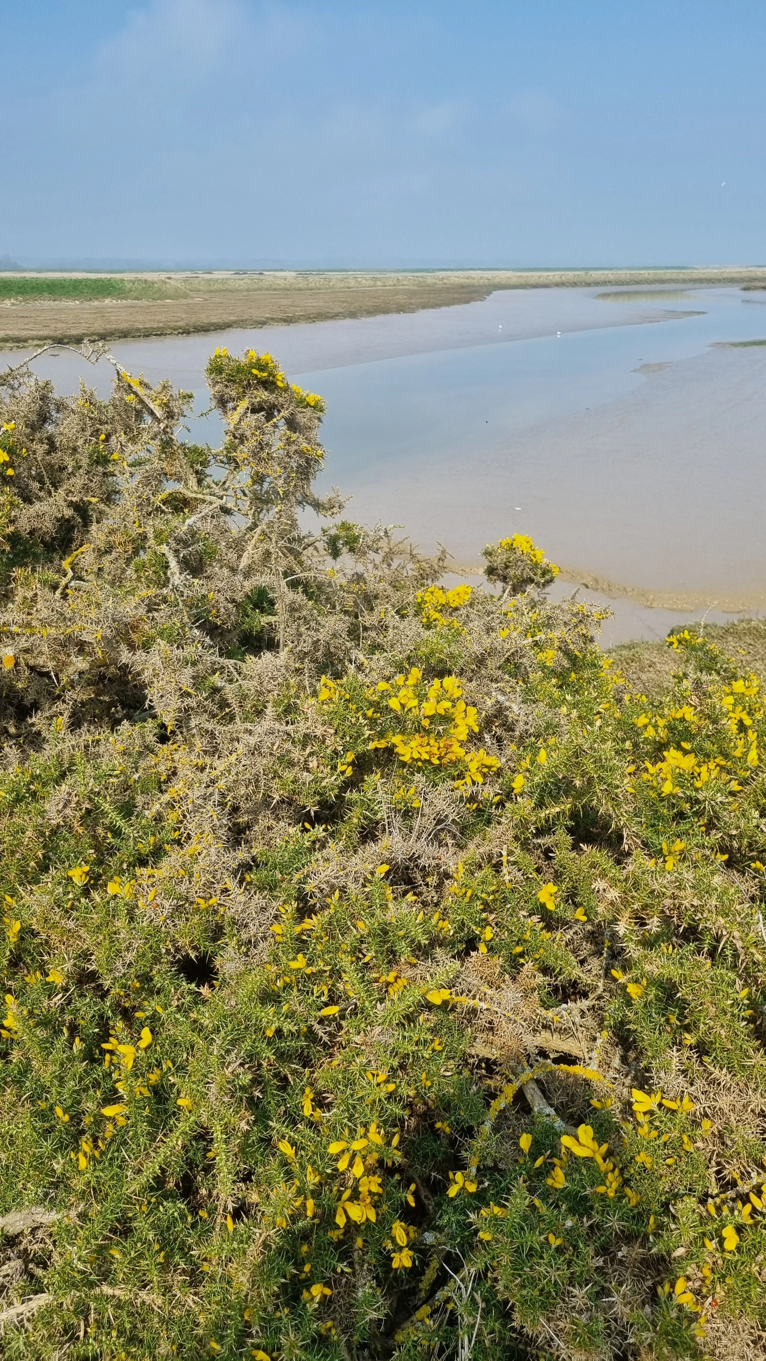 Photo Apr 9 2023 (2).jpg