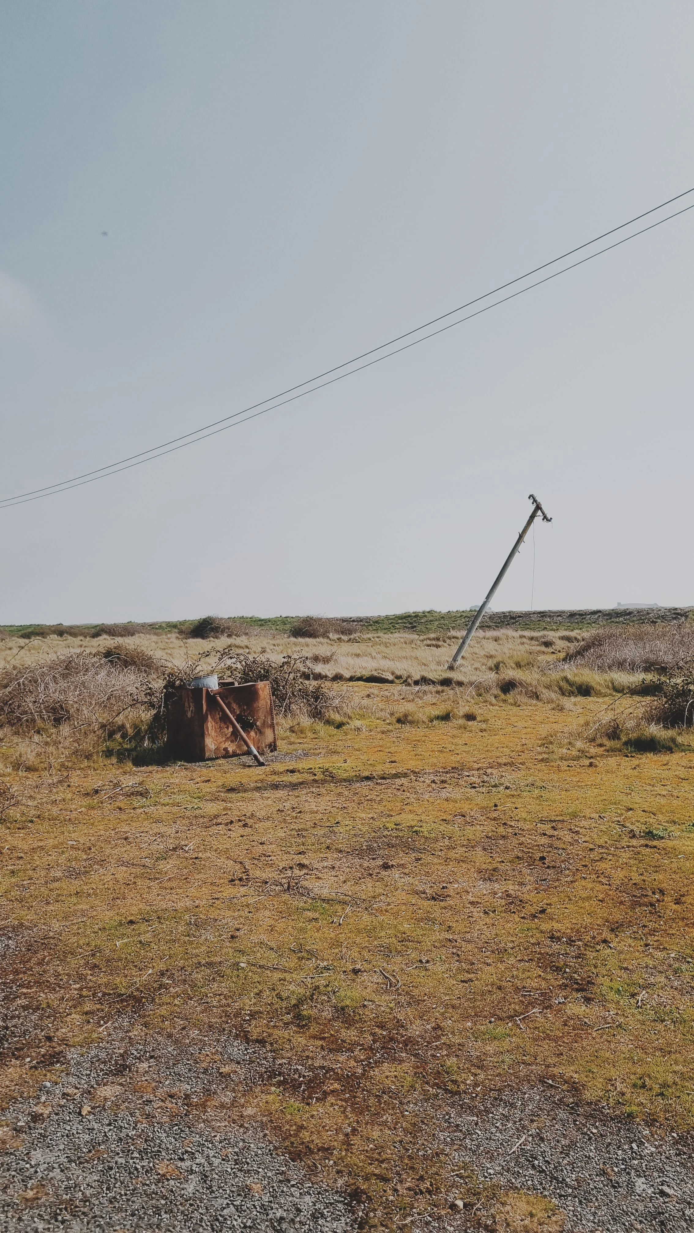 Photo Apr 9 2023 (3).jpg