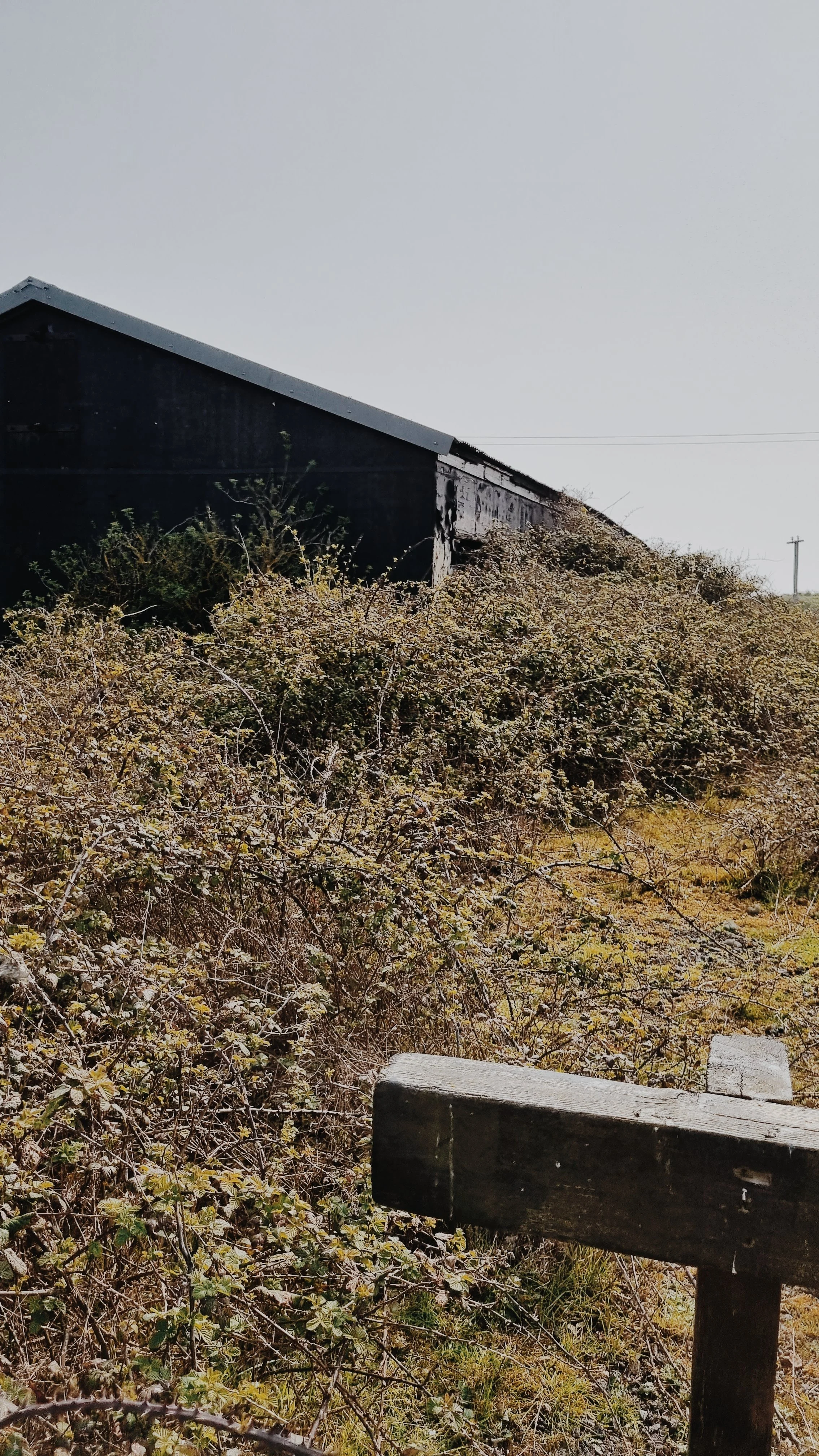 Photo Apr 9 2023 (4).jpg