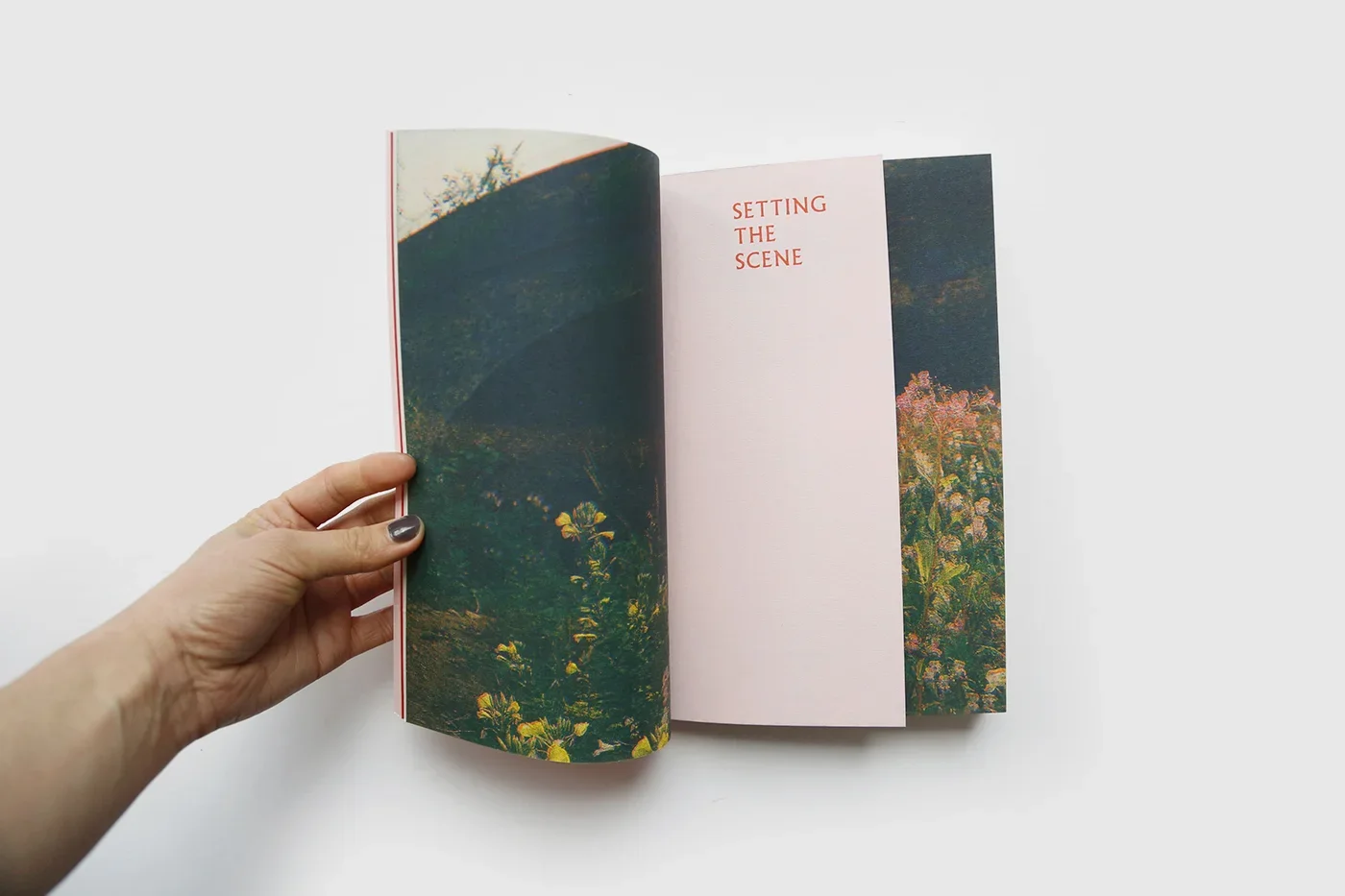 Fruitful Futures Book (1).webp