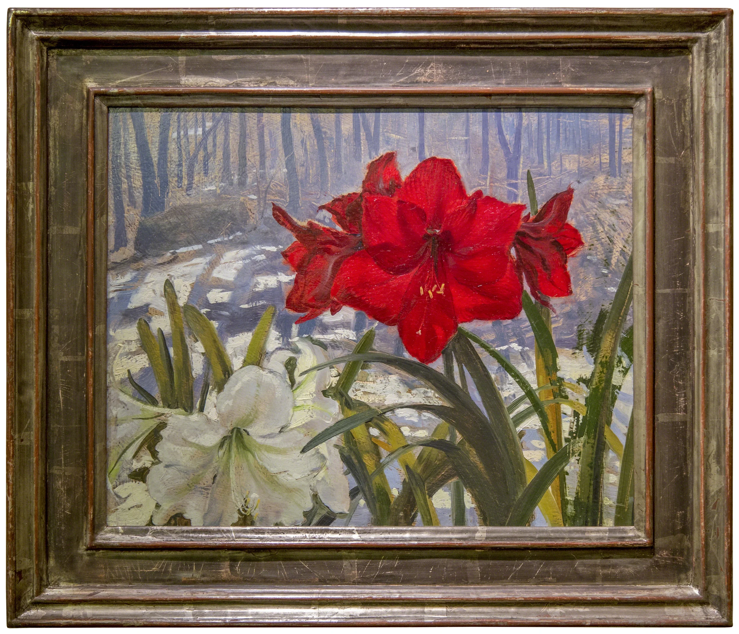 Red & White Amaryllis, Winter Greenhouse 2010, oil on panel, 11-3/4" x 14-1/2" Artist-made frame. Patinated silver leaf on hand-carved wood. Private Collection