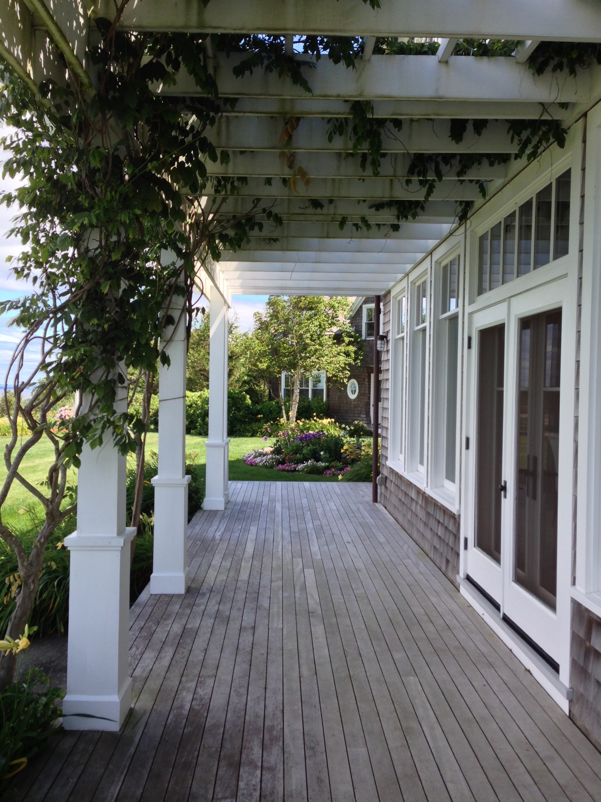 Lamont trellis with vines.JPG