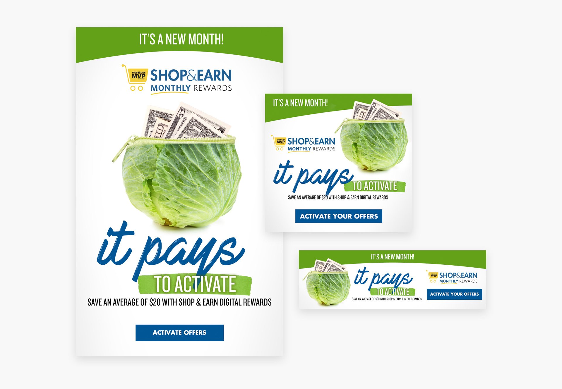 ShopandEarn_Cabbage.jpg