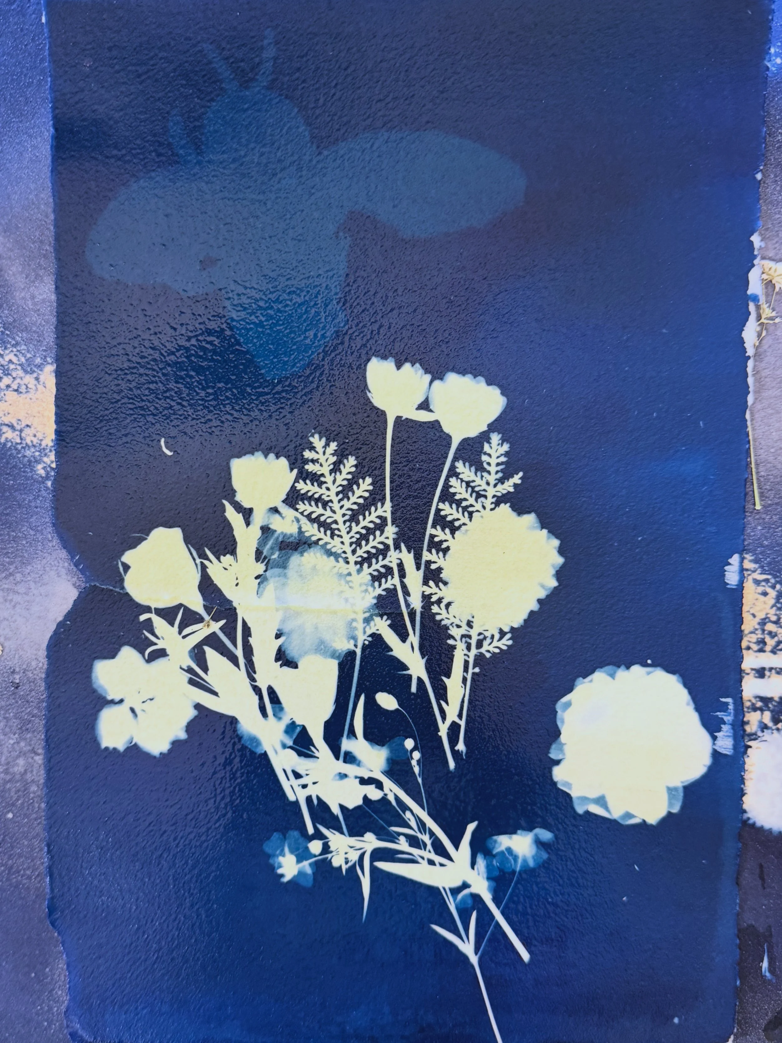 Stencil art of a flower plant with large leaves and poppy flowers on a dark background.
