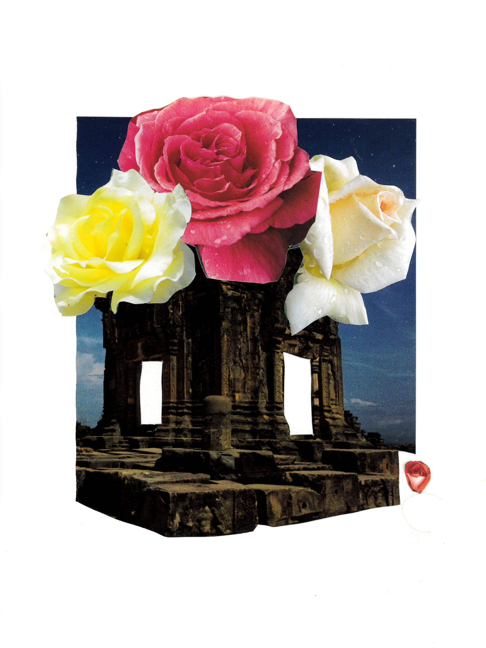 IMG_1102.png