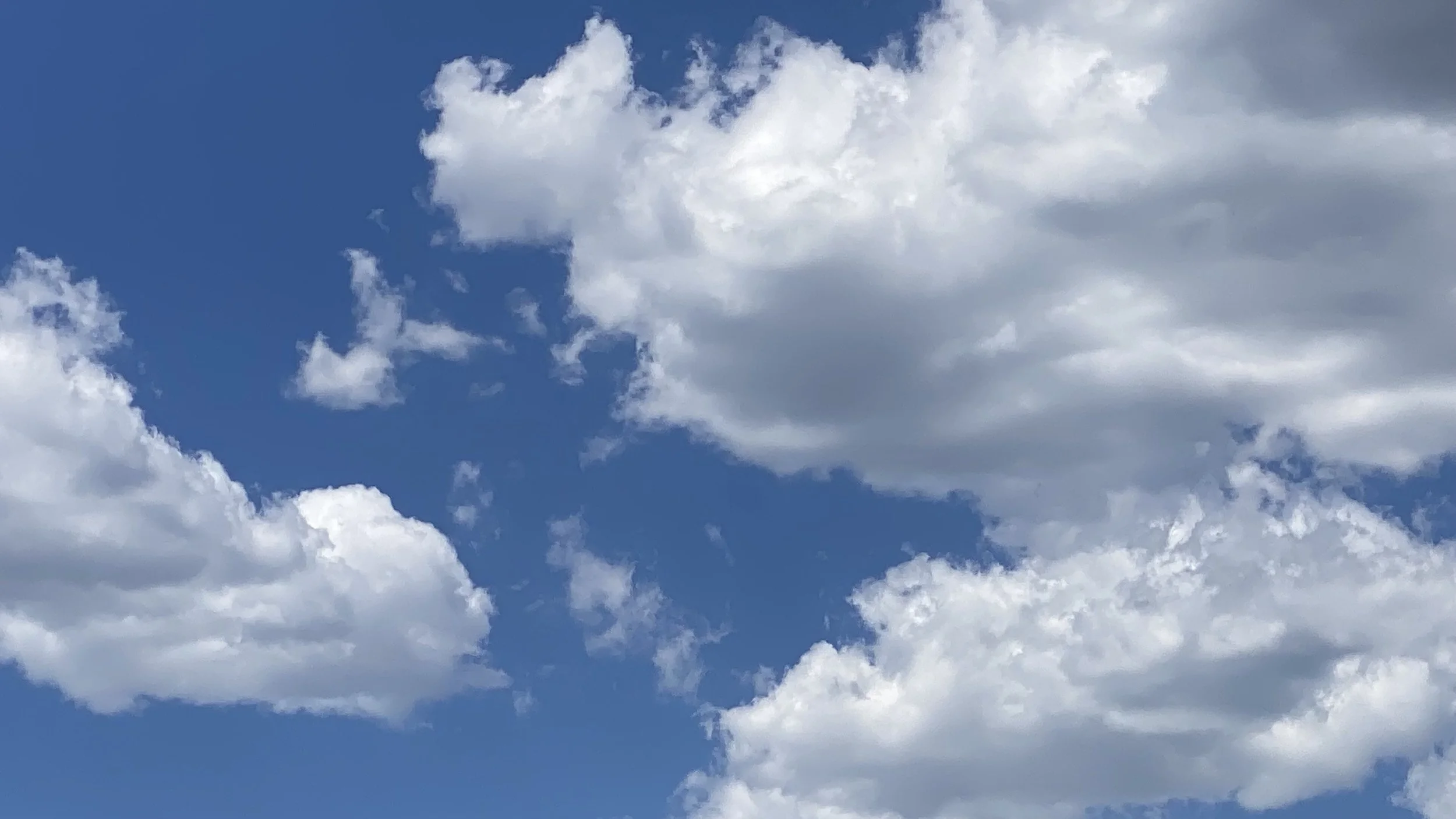 A Sergeant’s Daughter : Freeman and Obedience 