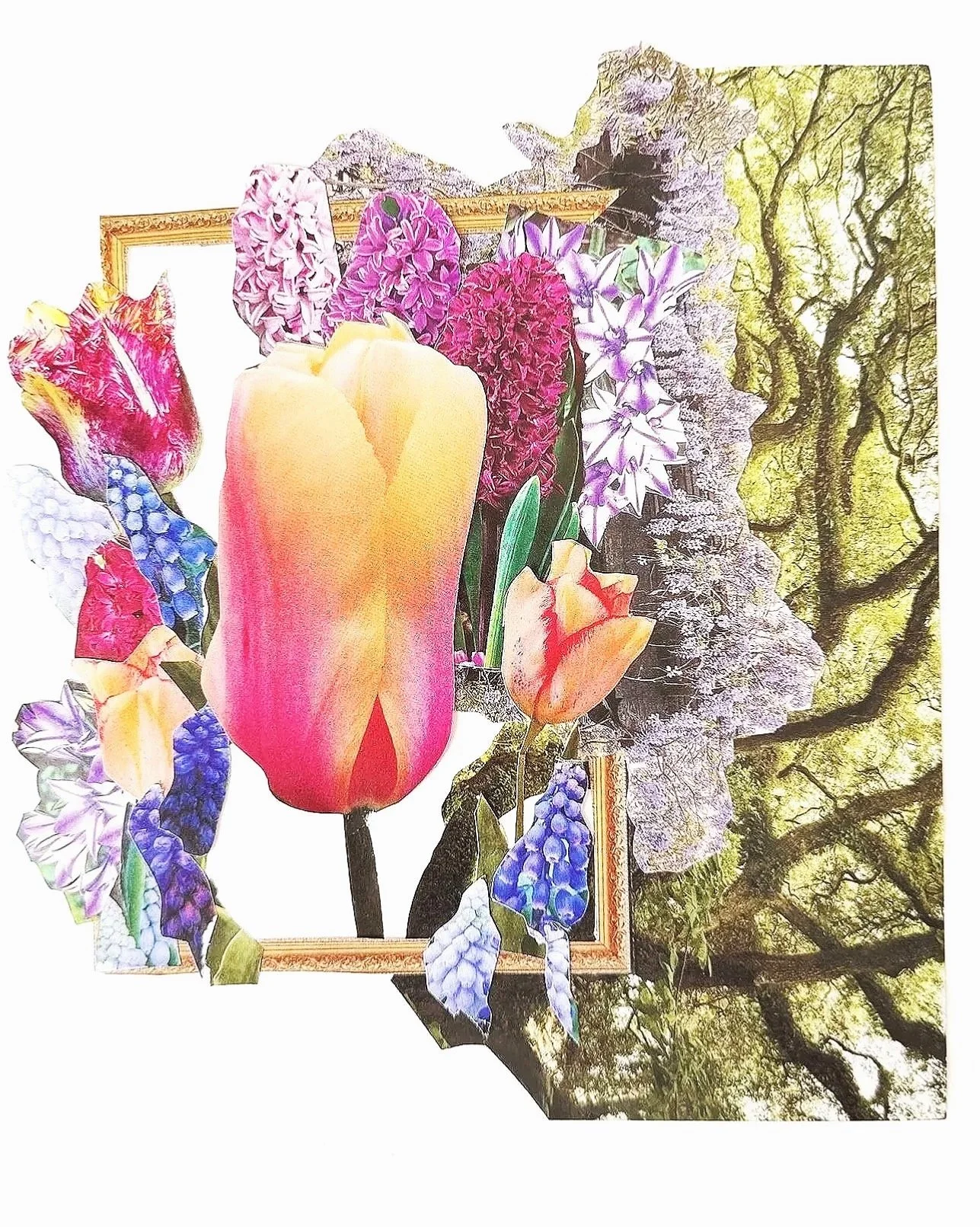 Ace of Swords 
