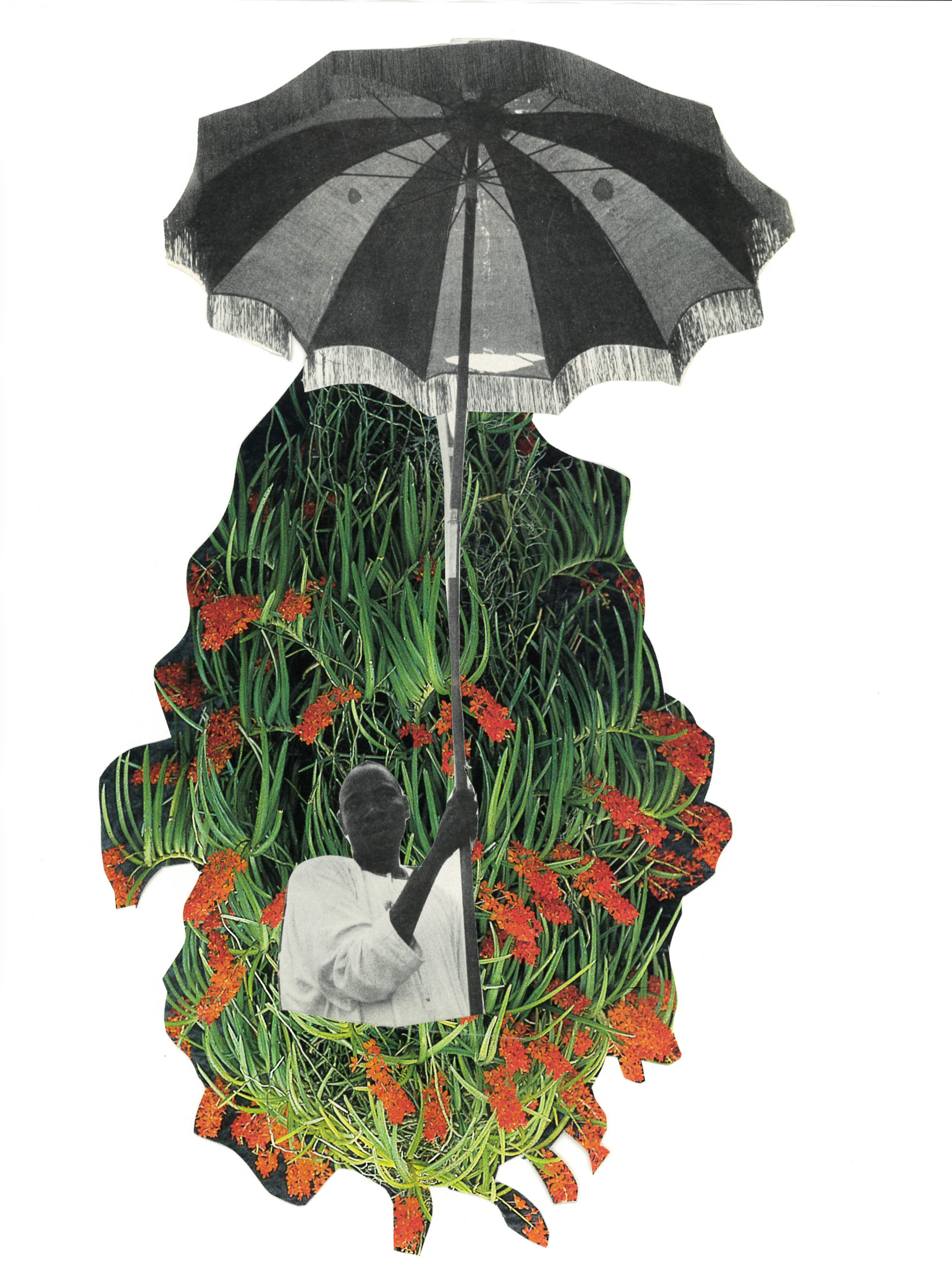 IMG_1132.png