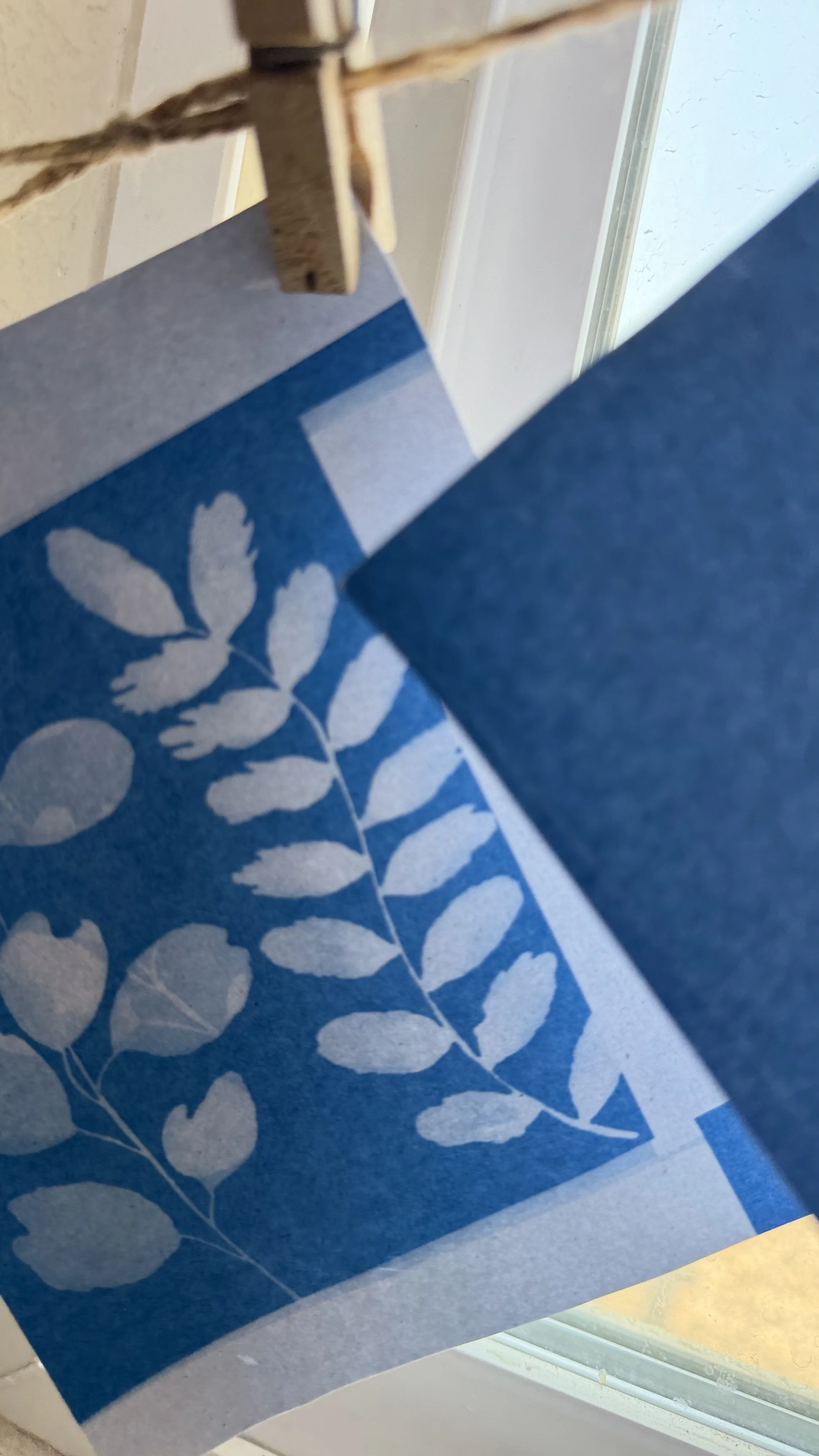A paper with a blue background and white leaf print is taped to a window or glass surface.