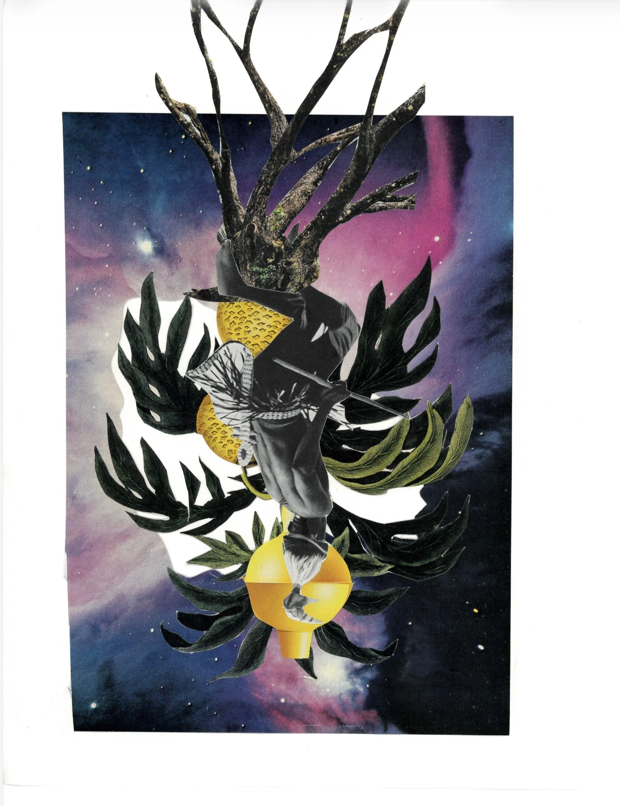 The Hanged Man