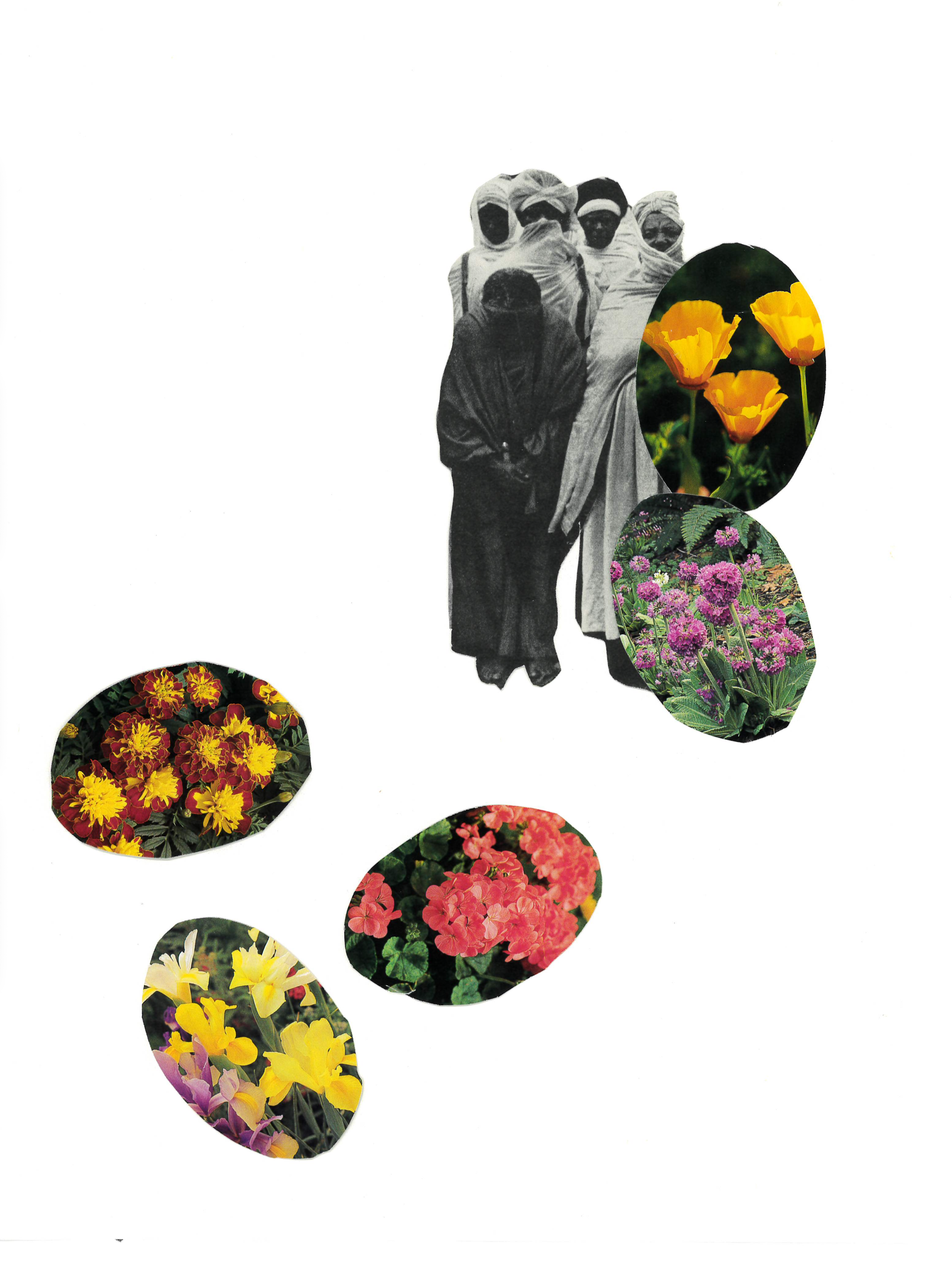 IMG_1120.png