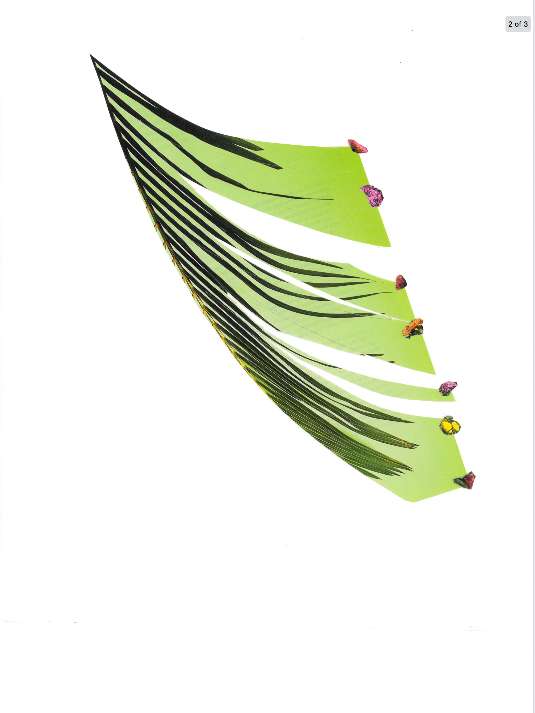 IMG_1136.png