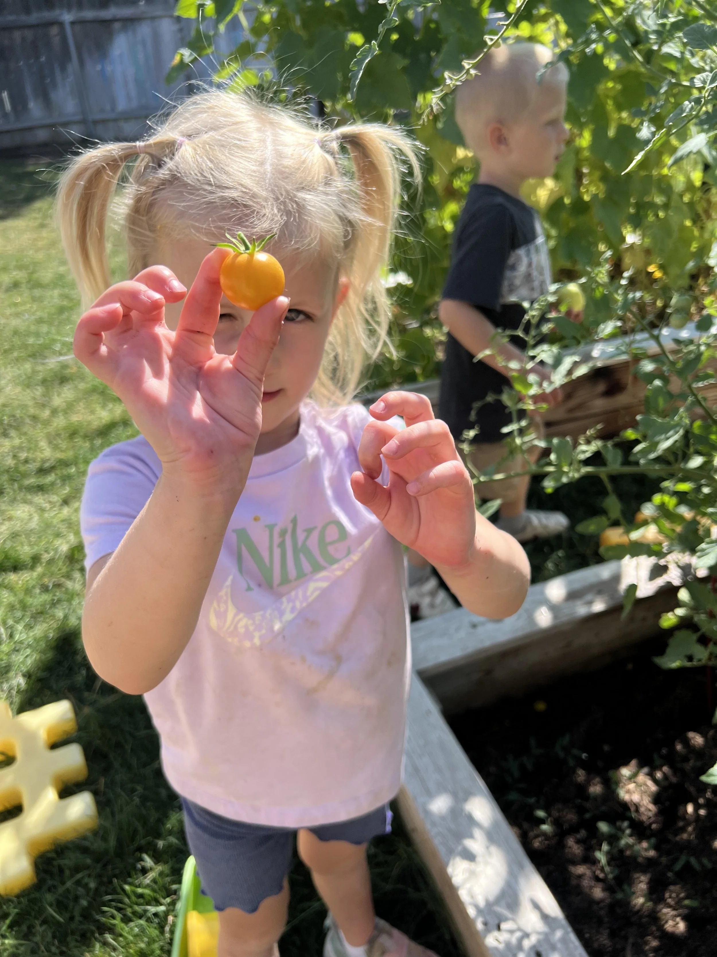 IMG_5232.jpeg