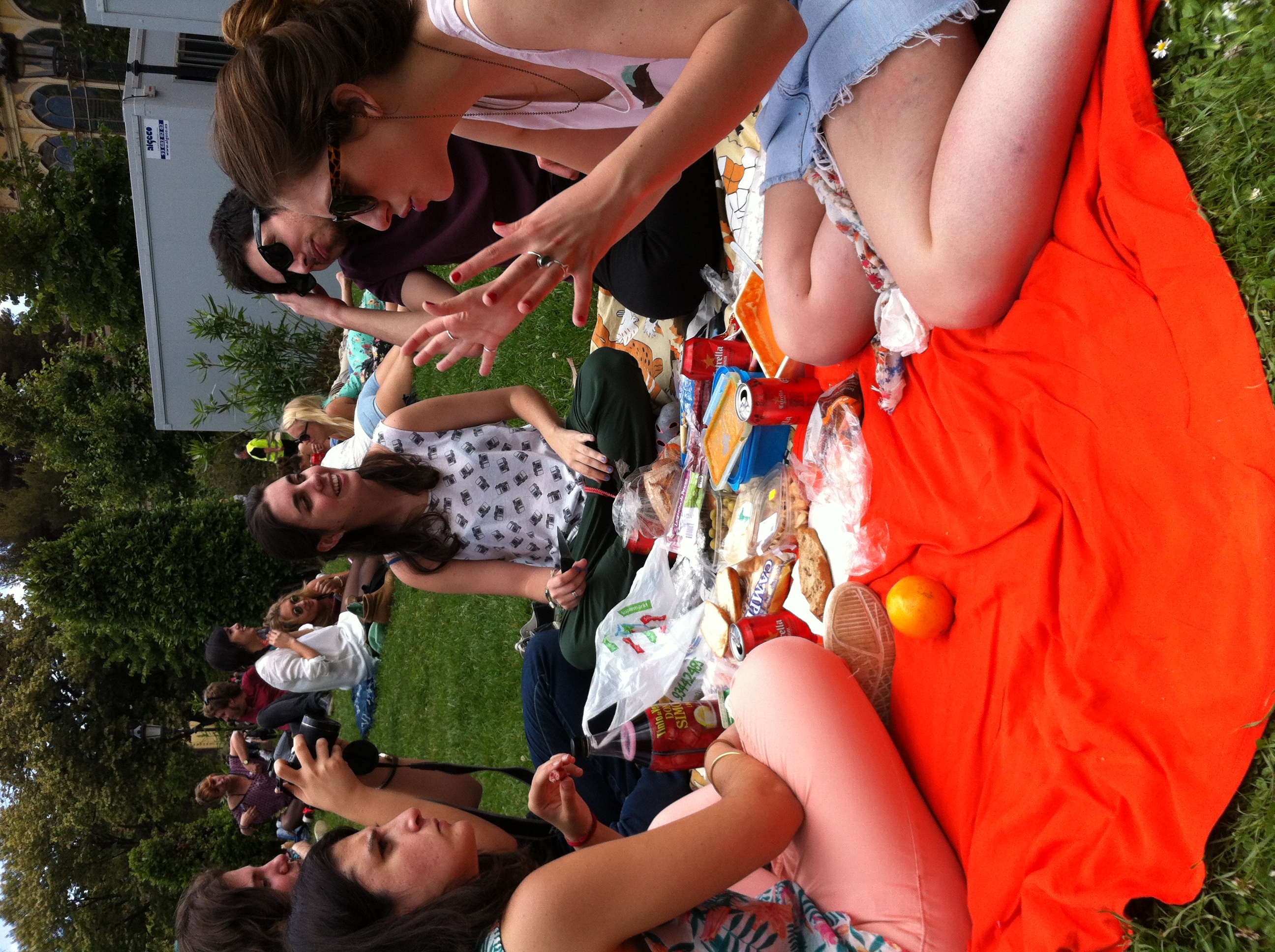picnic with new friends in the park