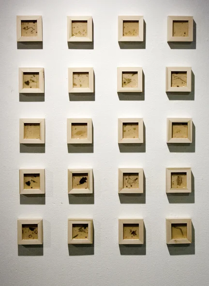 Study of Pond Water, 2014
