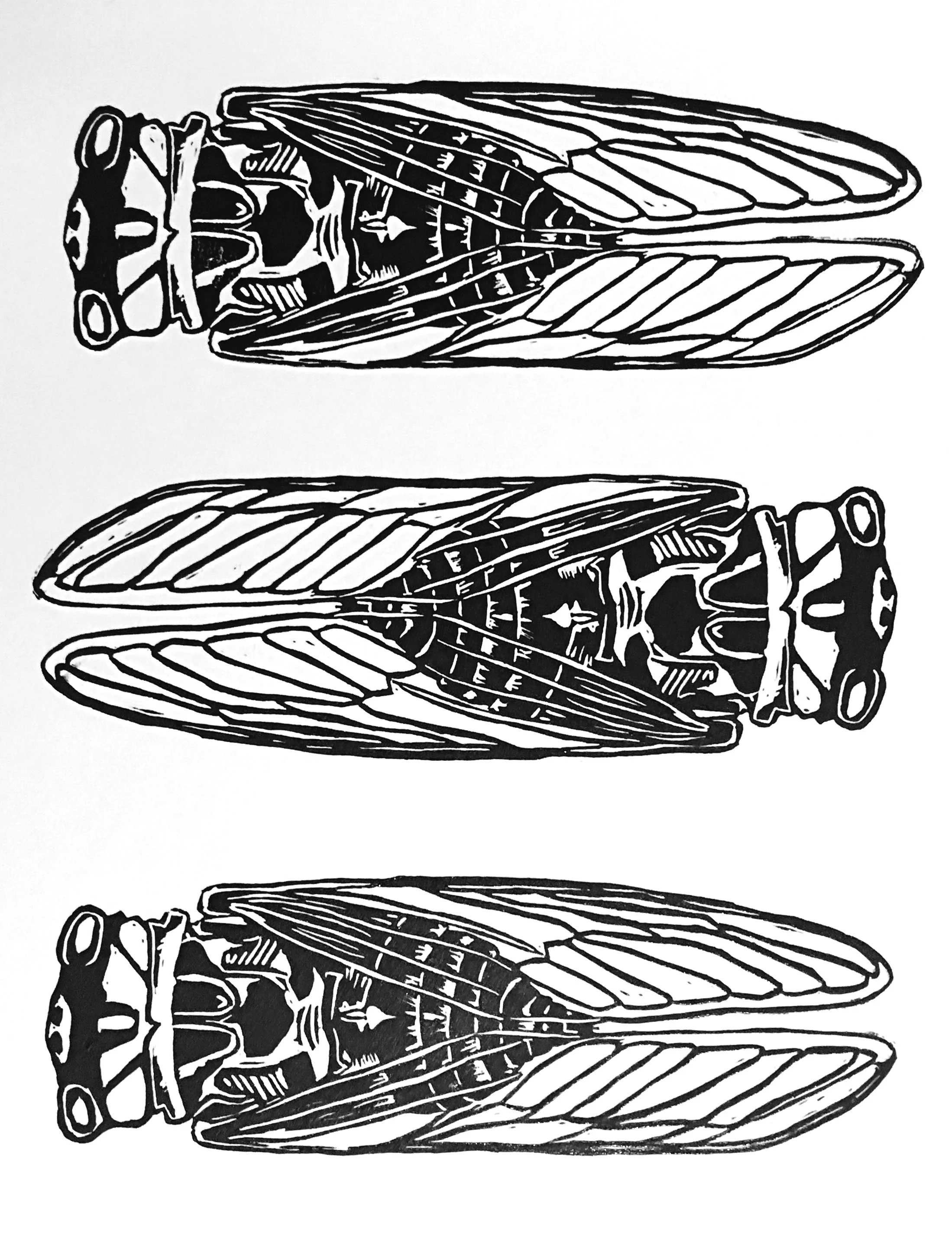 Three Cicadas