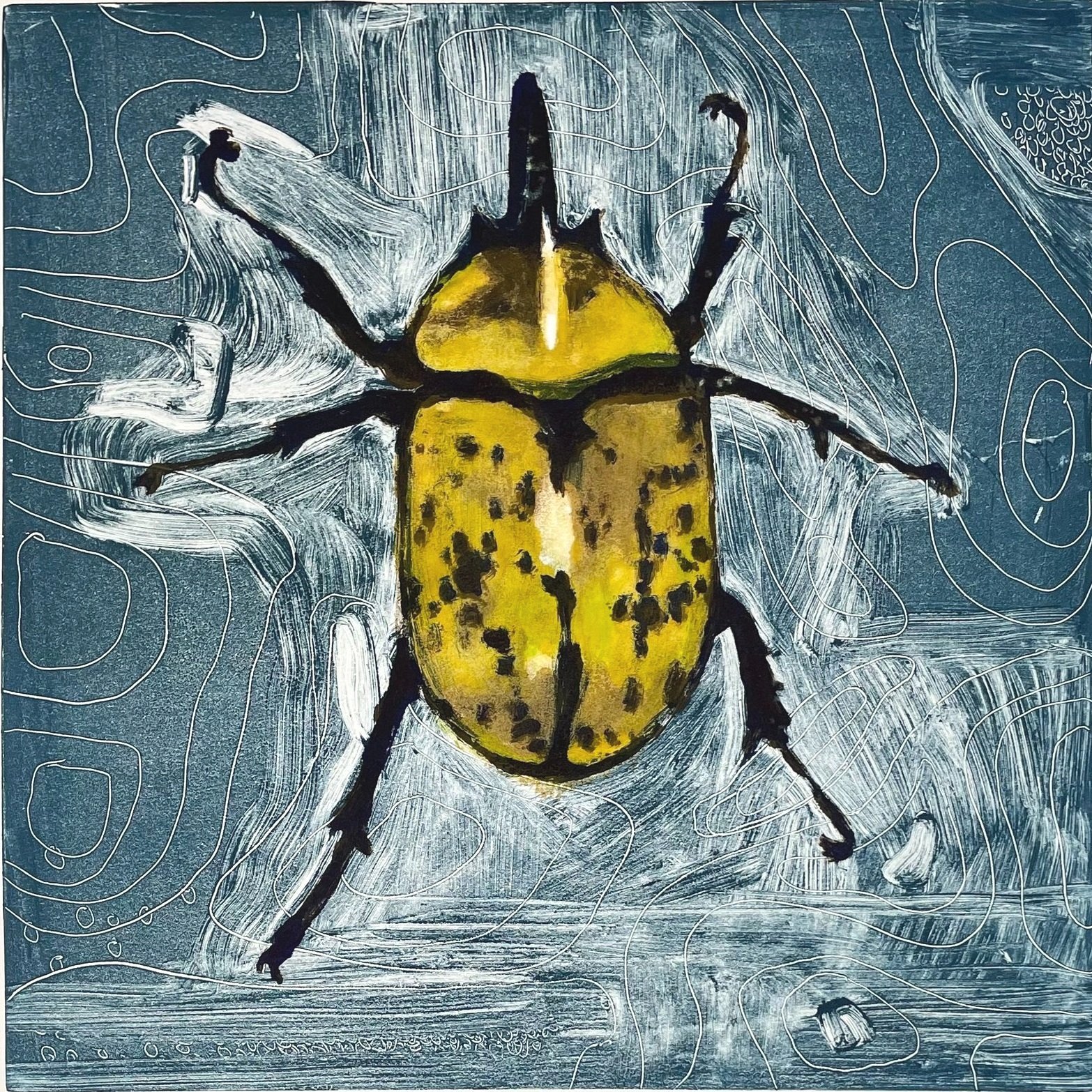 Beetle Study