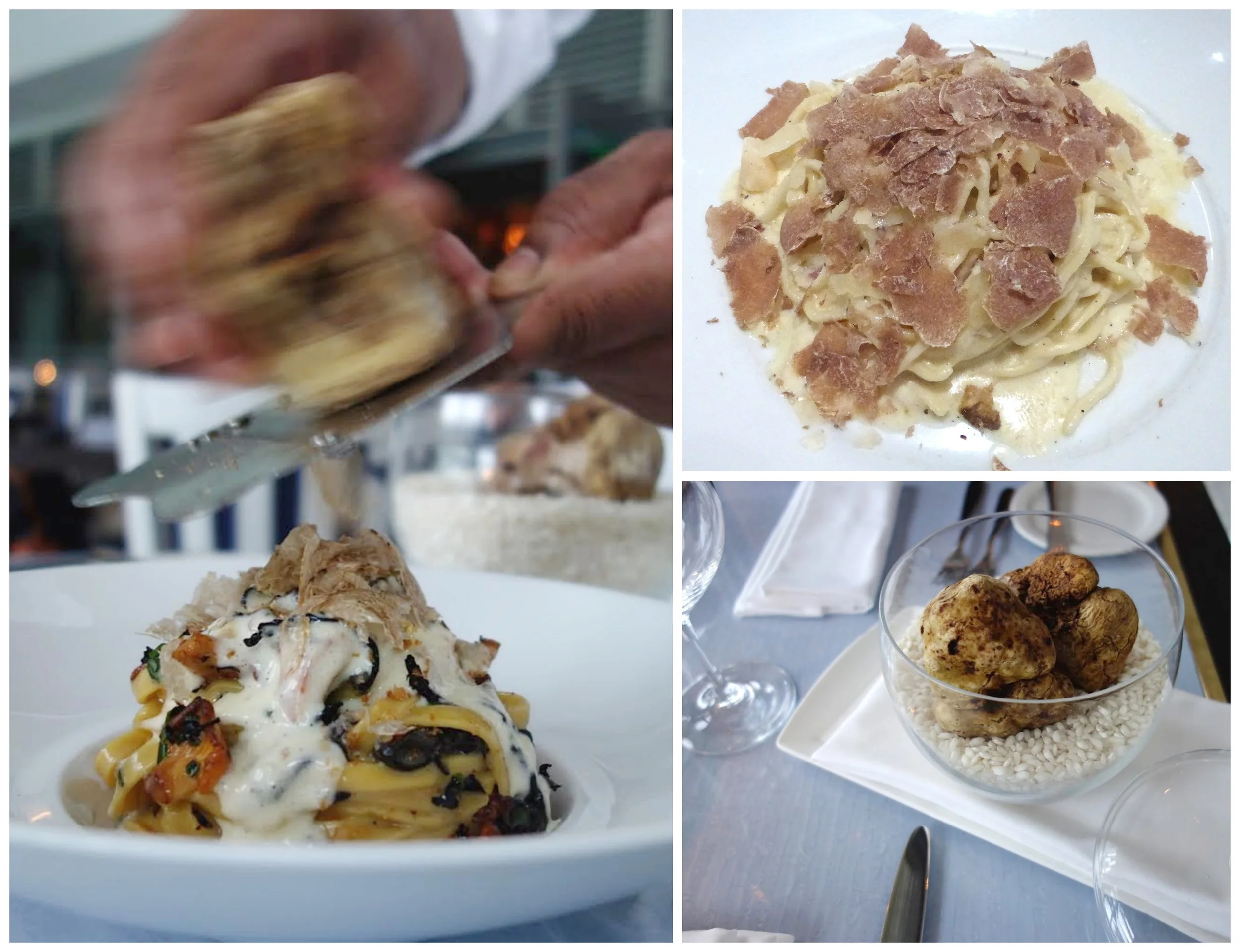 'Tis Truffle Season....The "white stuff" arrives!