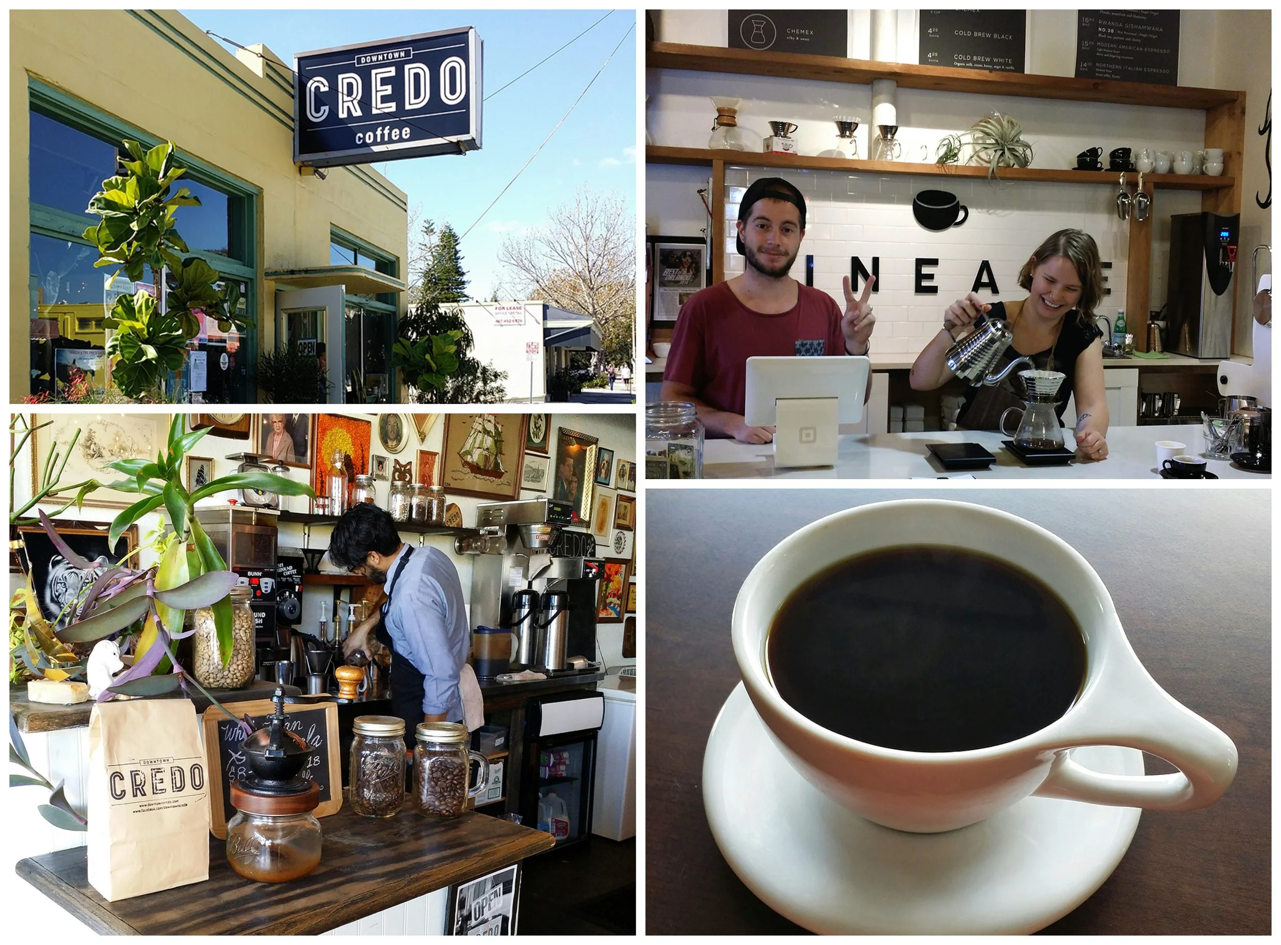 24 Hours in Orlando: OK Food, Outstanding Coffee 