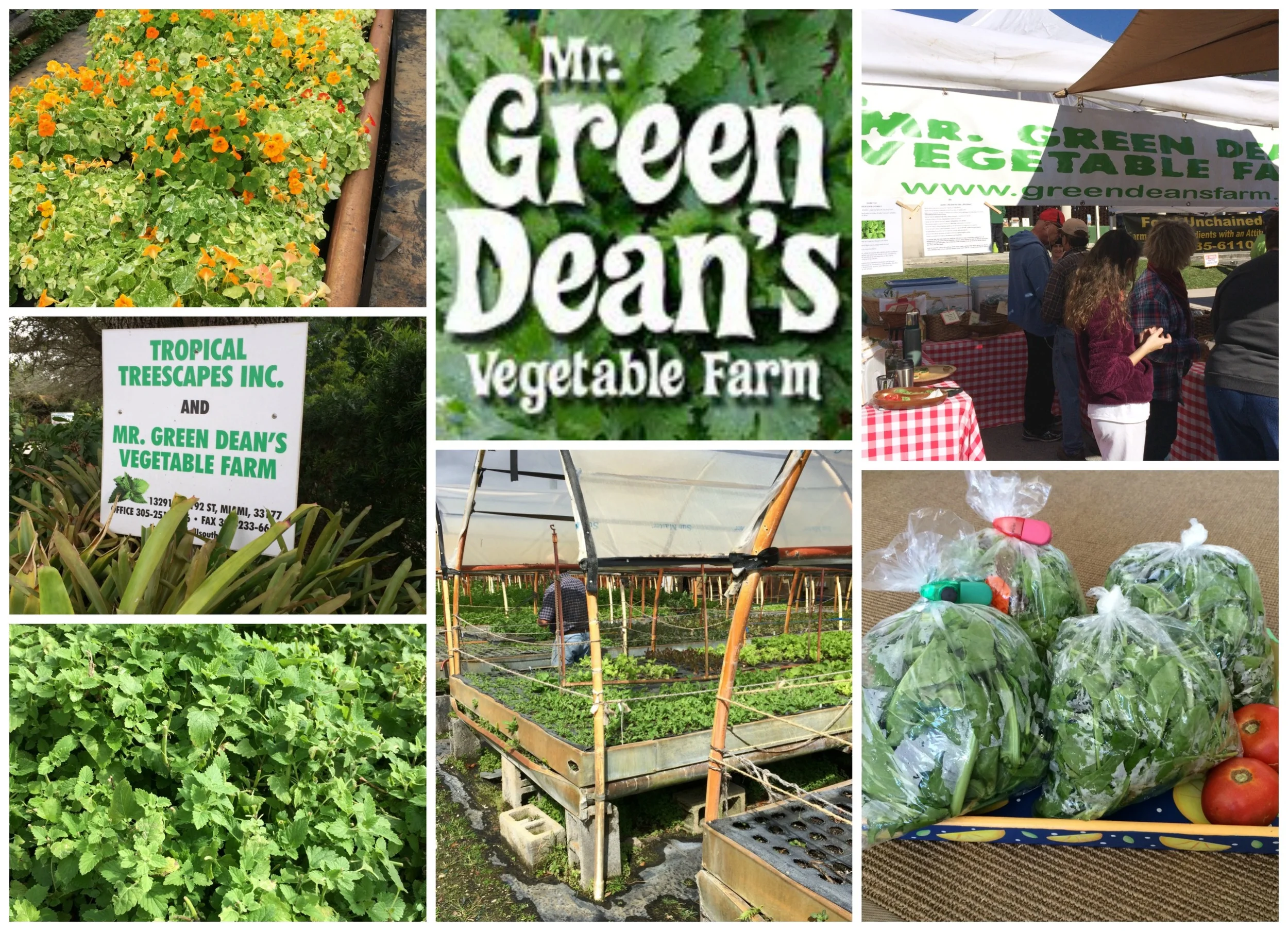 From Farm to Farmers Market to Table