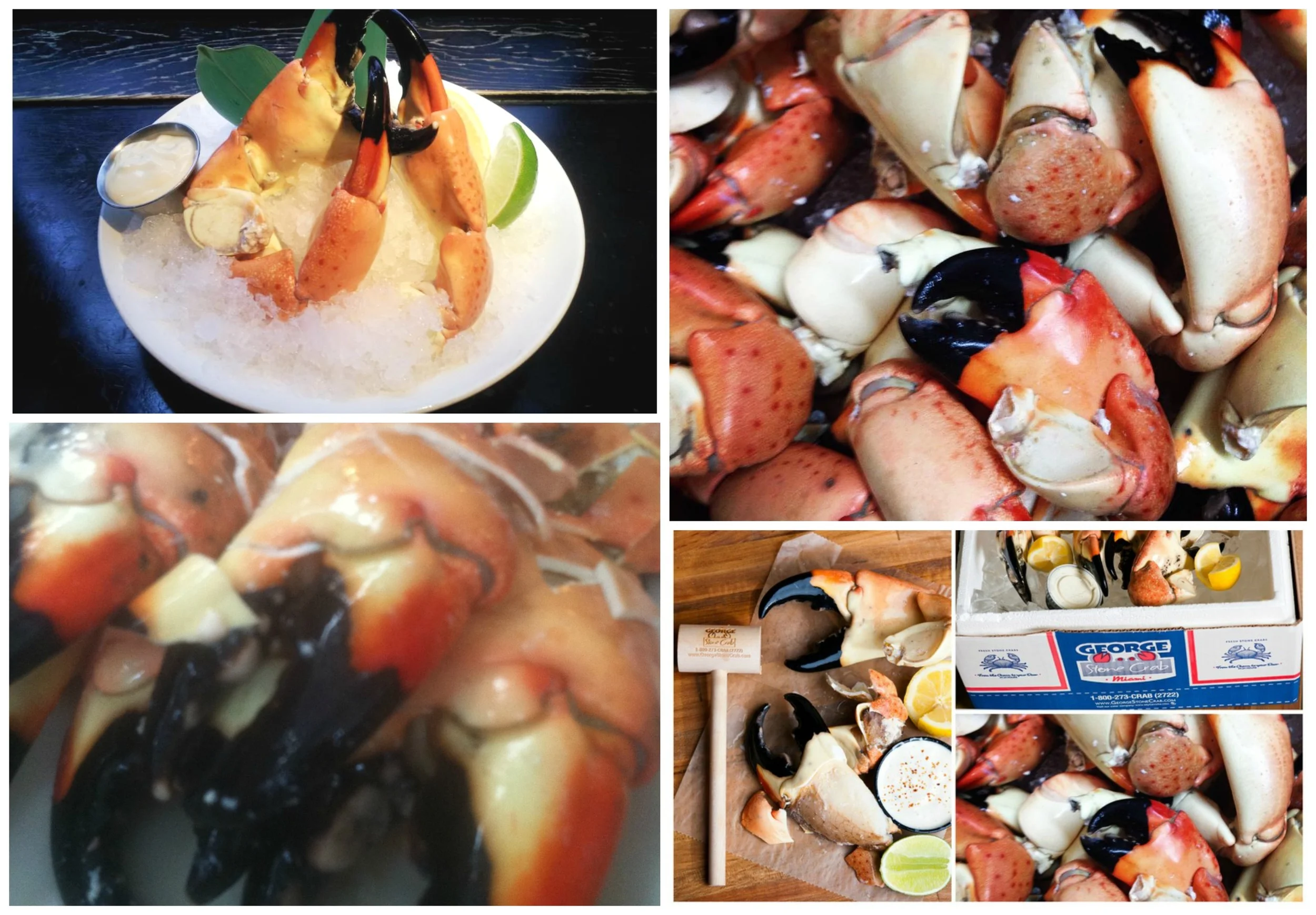  Stone Crab Season Ends May 15th!