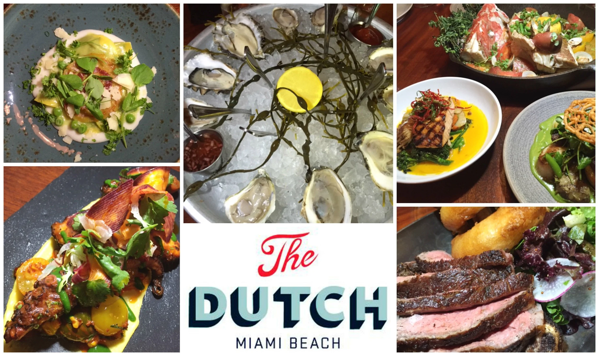 The Dutch: Summer on Miami Beach