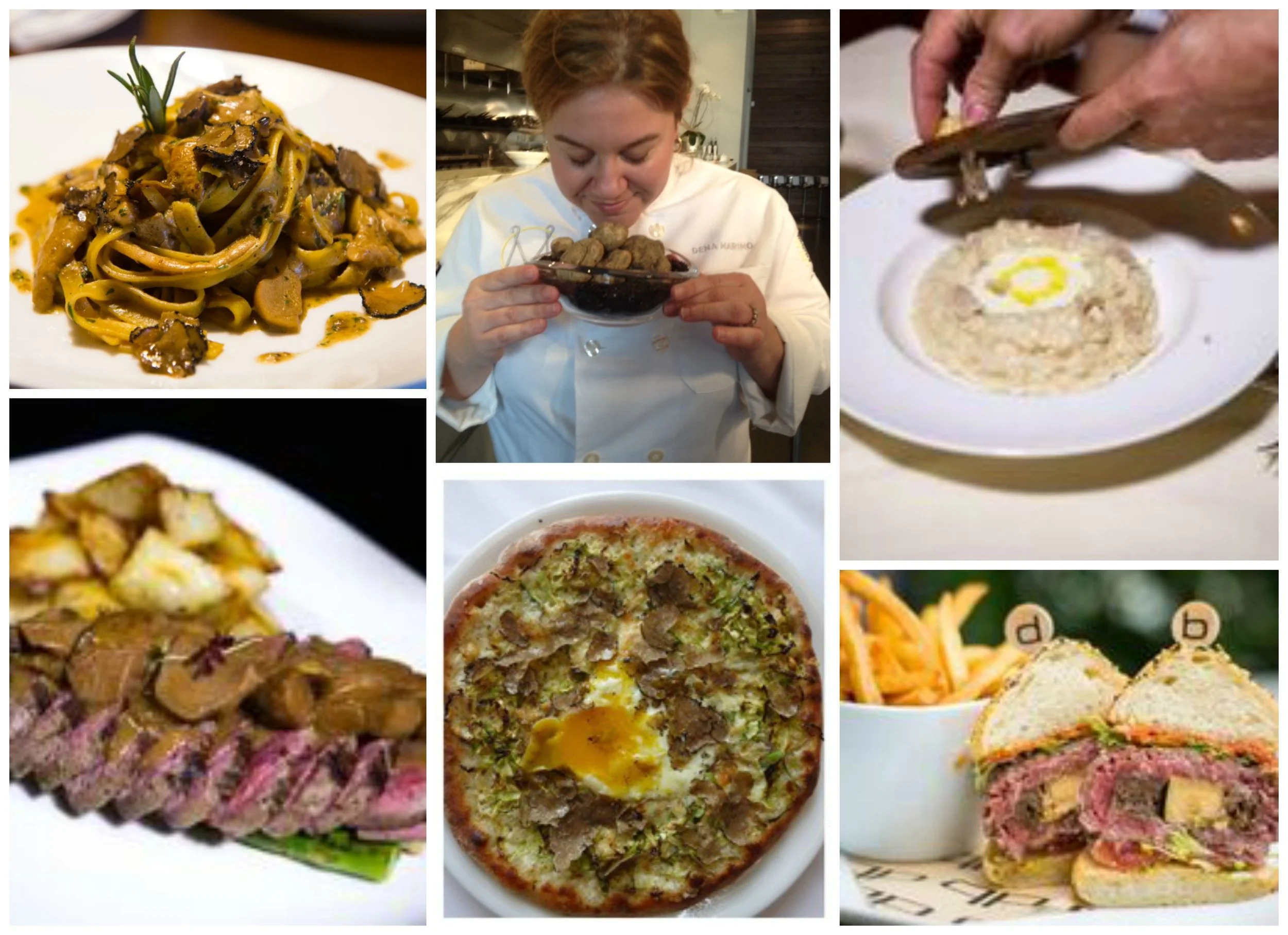 ‘Tis Truffle Season: In Search of White Alba Truffles