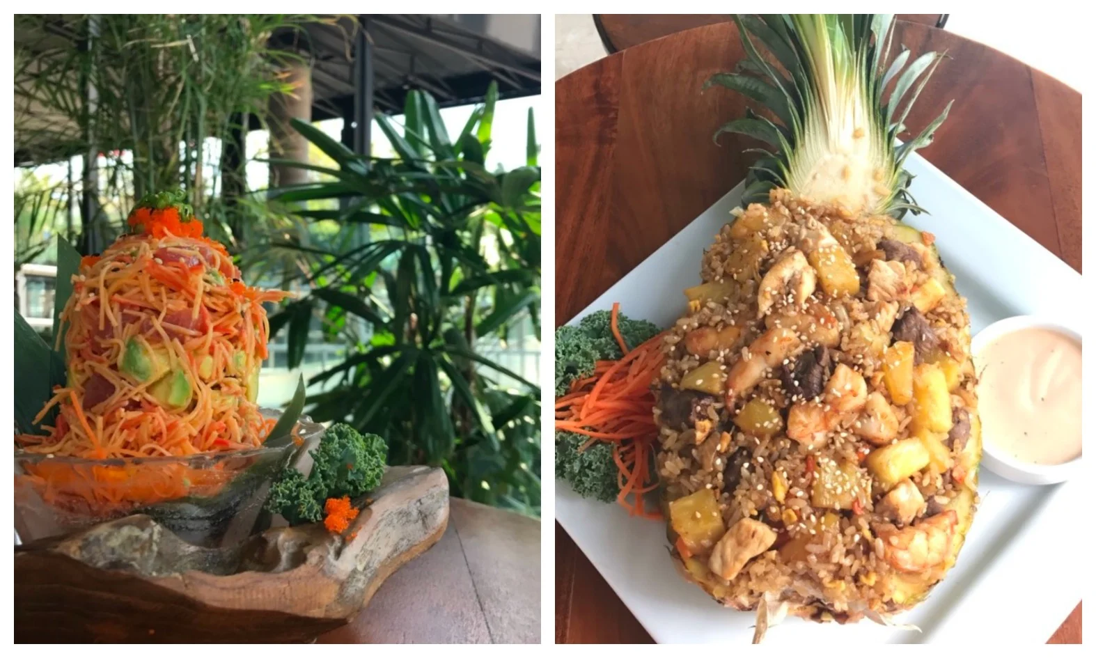 Sushi Sake Noodles and Pineapple rice